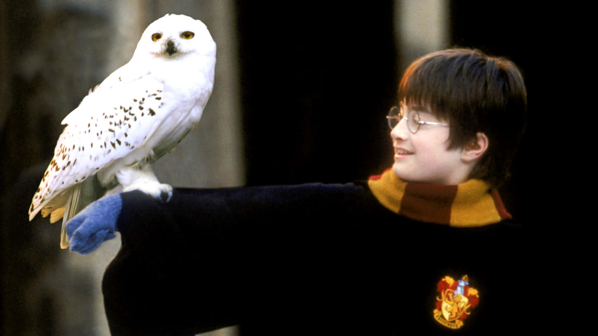 Join the Adventure in the World of Harry Potter and The Philosopher's Stone Wallpaper