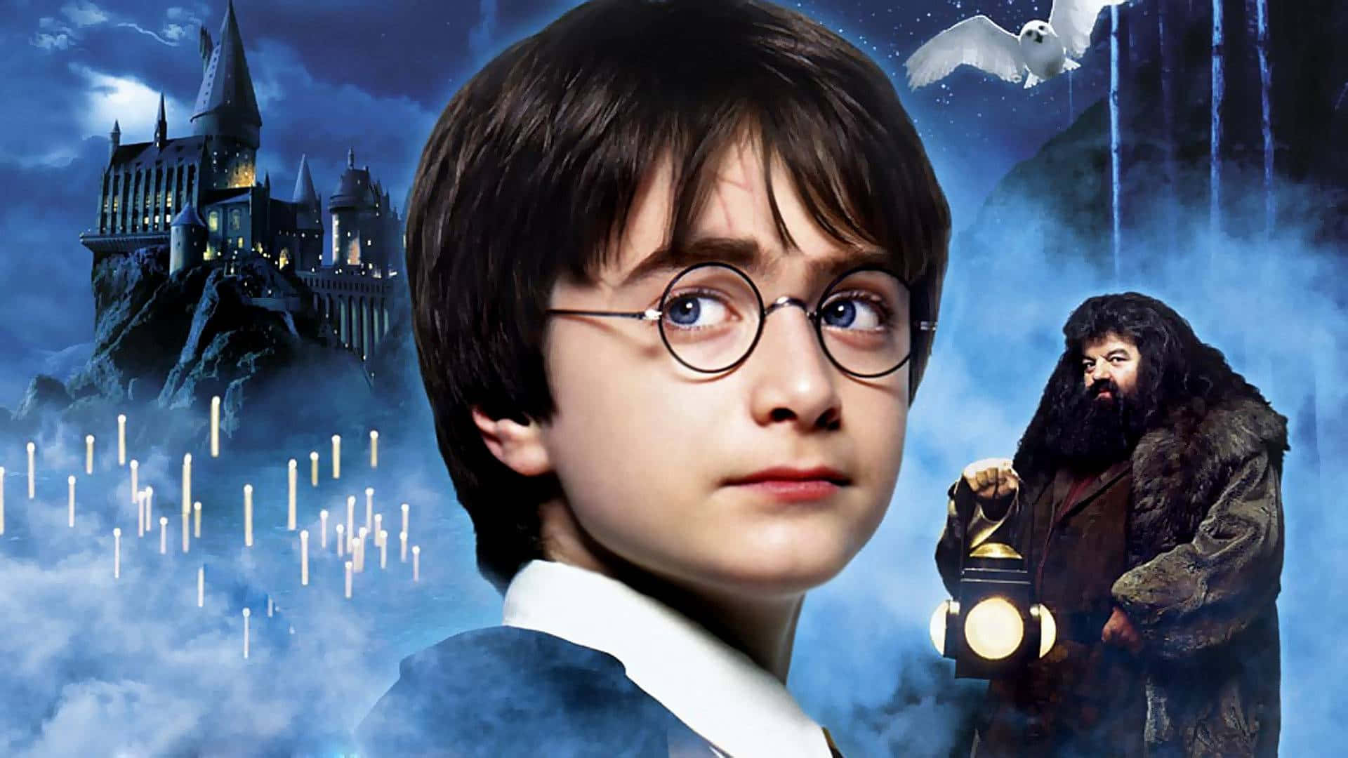 Harry Potter recovers the Philosopher's Stone Wallpaper