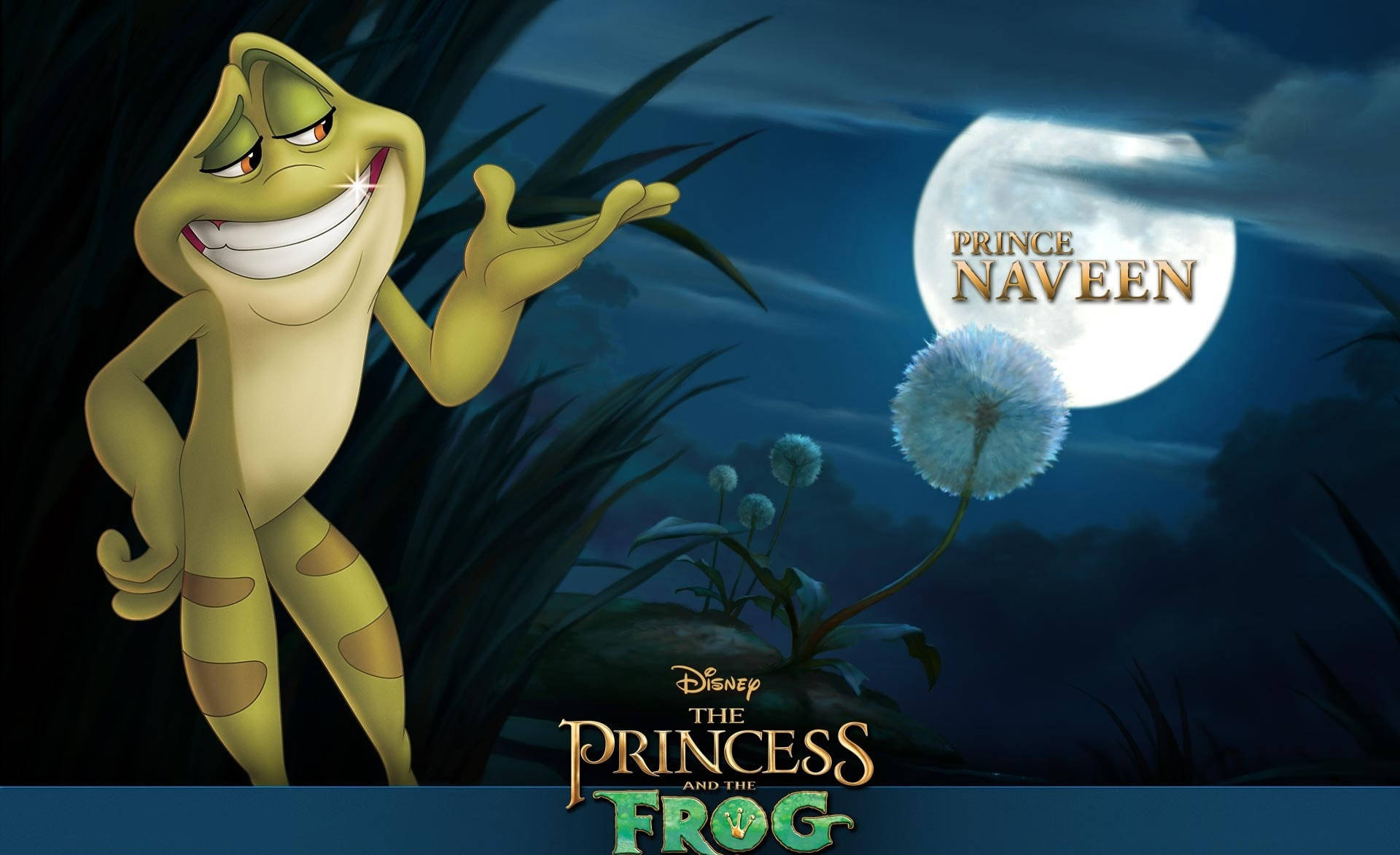 The Princess And The Frog Naveen Poster Wallpaper