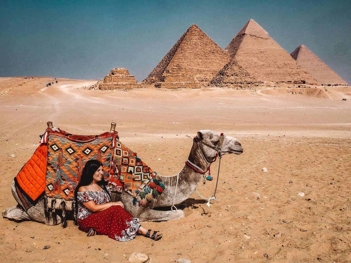 Pyramidernai Giza, Kvinna Lutad Mot En Kamel. Wallpaper