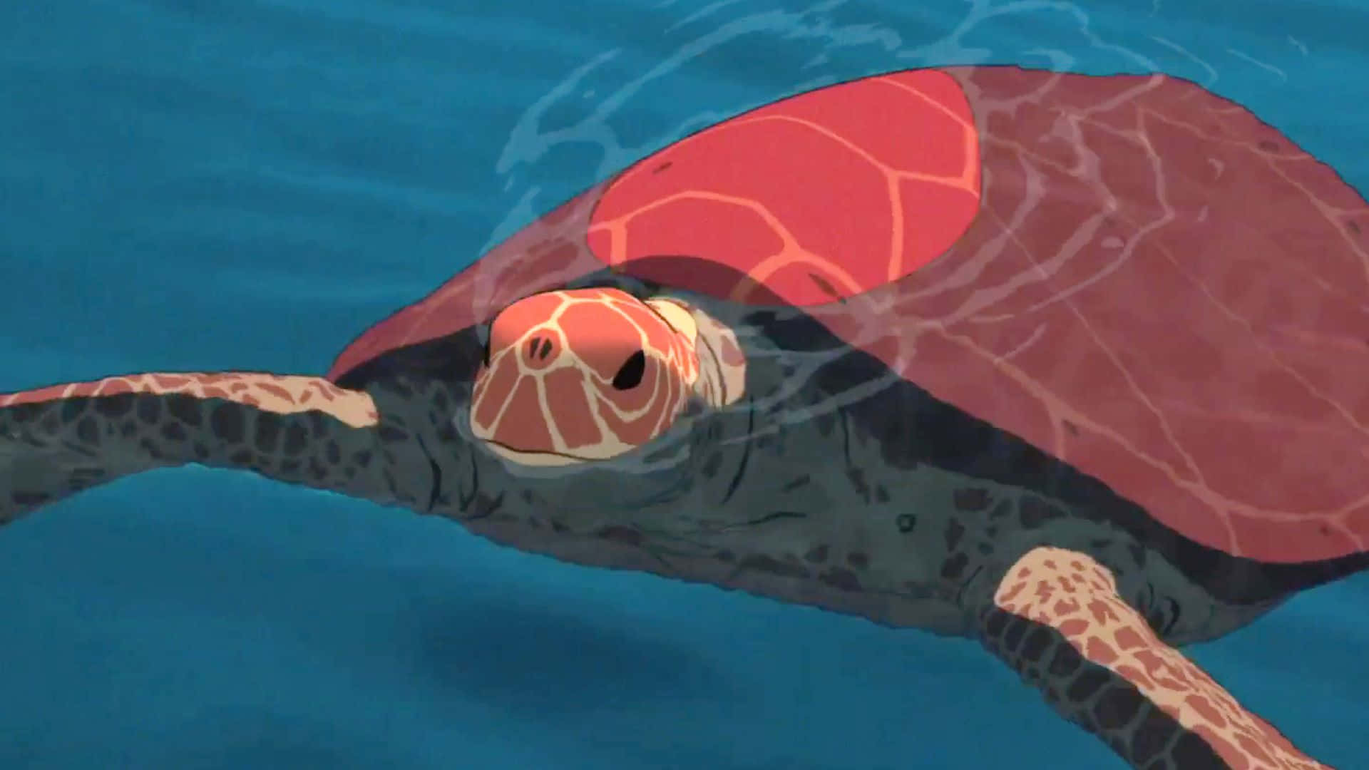 The Red Turtle and its oceanic journey Wallpaper