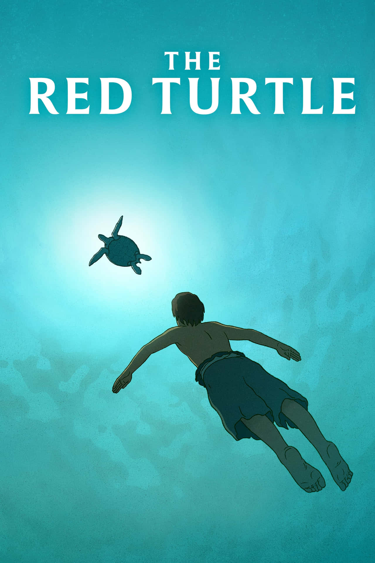 Peaceful Moment with the Red Turtle Wallpaper