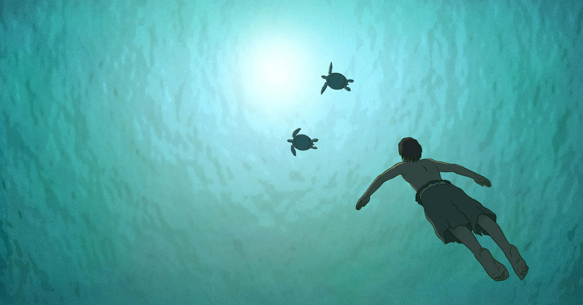 The Red Turtle, a magical encounter on a deserted island Wallpaper