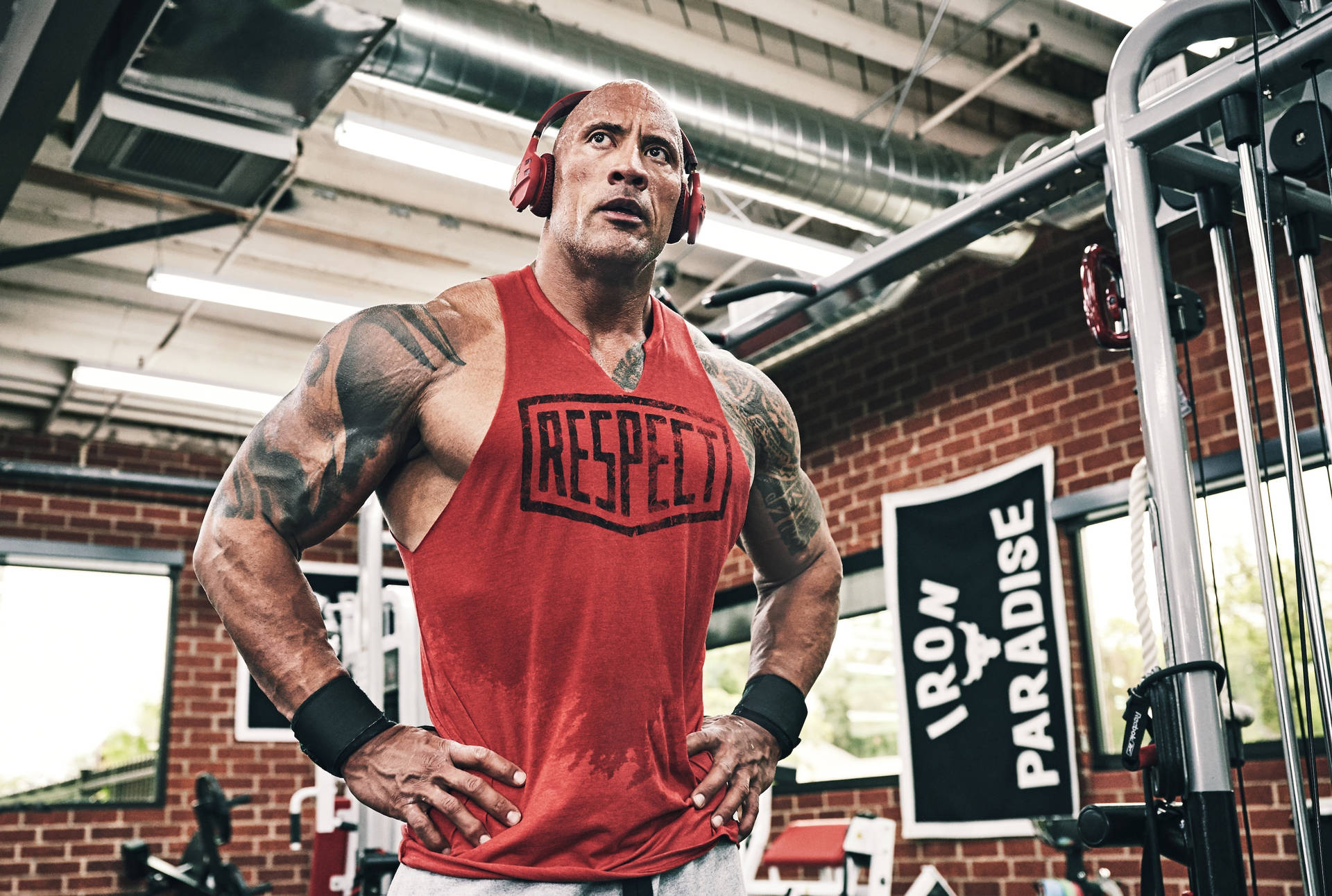 The Rock At The Gym Wallpaper