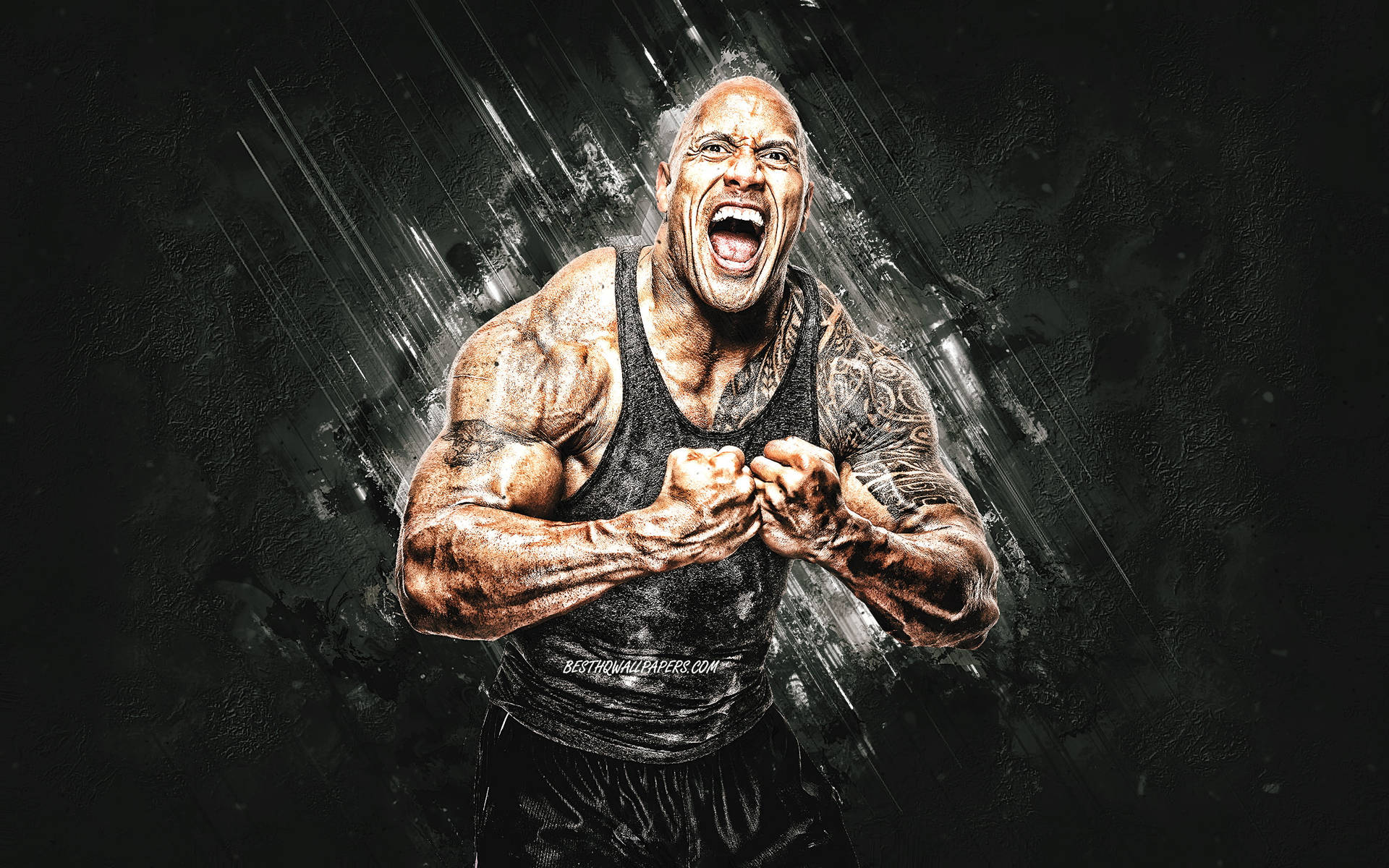 Free The Rock Wallpaper Downloads, [100+] The Rock Wallpapers for FREE |  