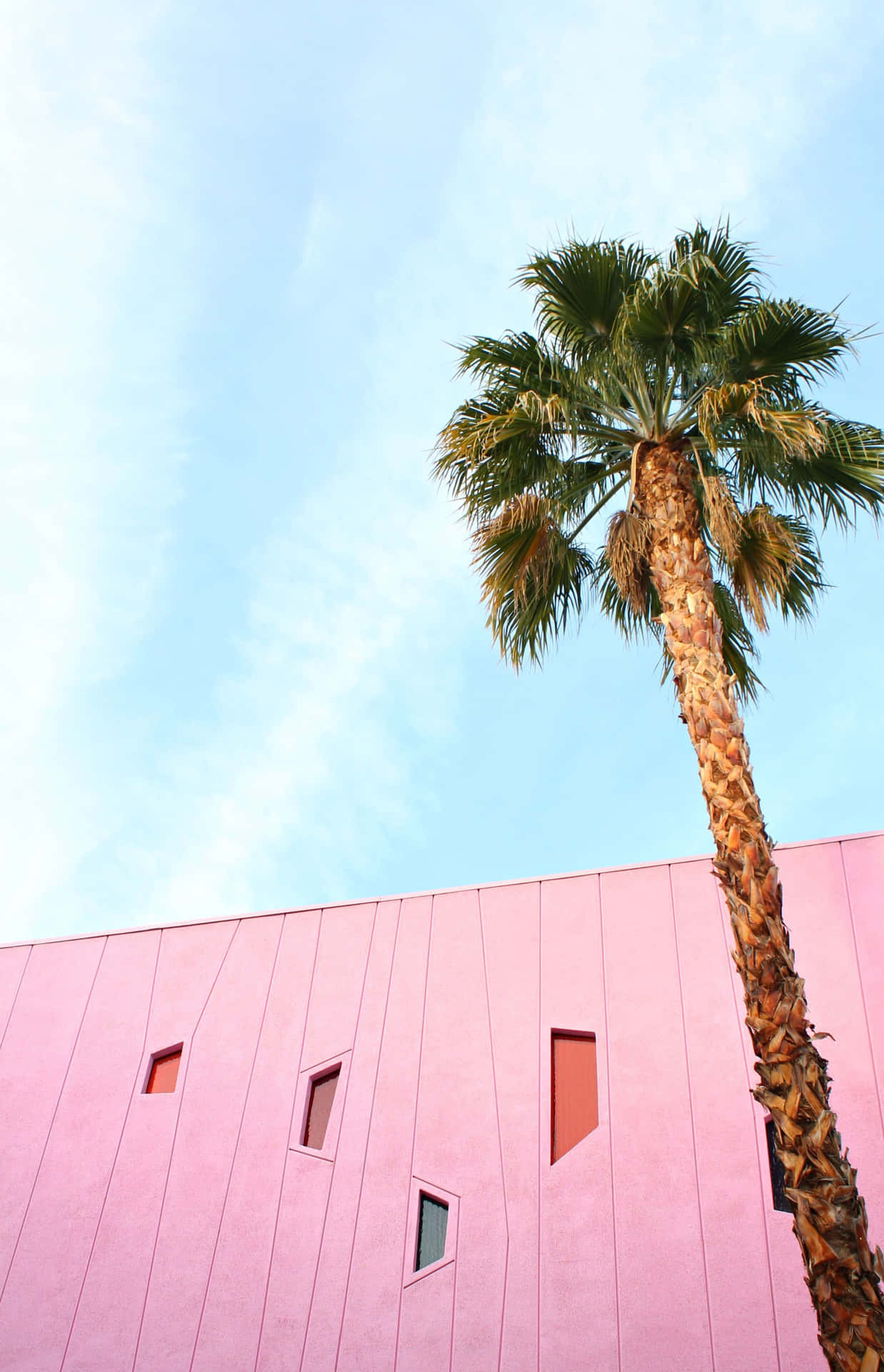 Den Saguaro Palm Springs Hotel scene wallpaper vil bringe et strejf af ørkenen til din hjemme Wallpaper