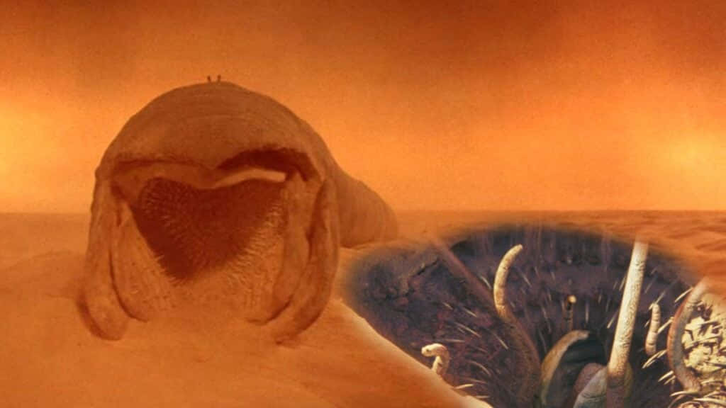 An adventurer faces the legendary Sarlacc Pit Wallpaper