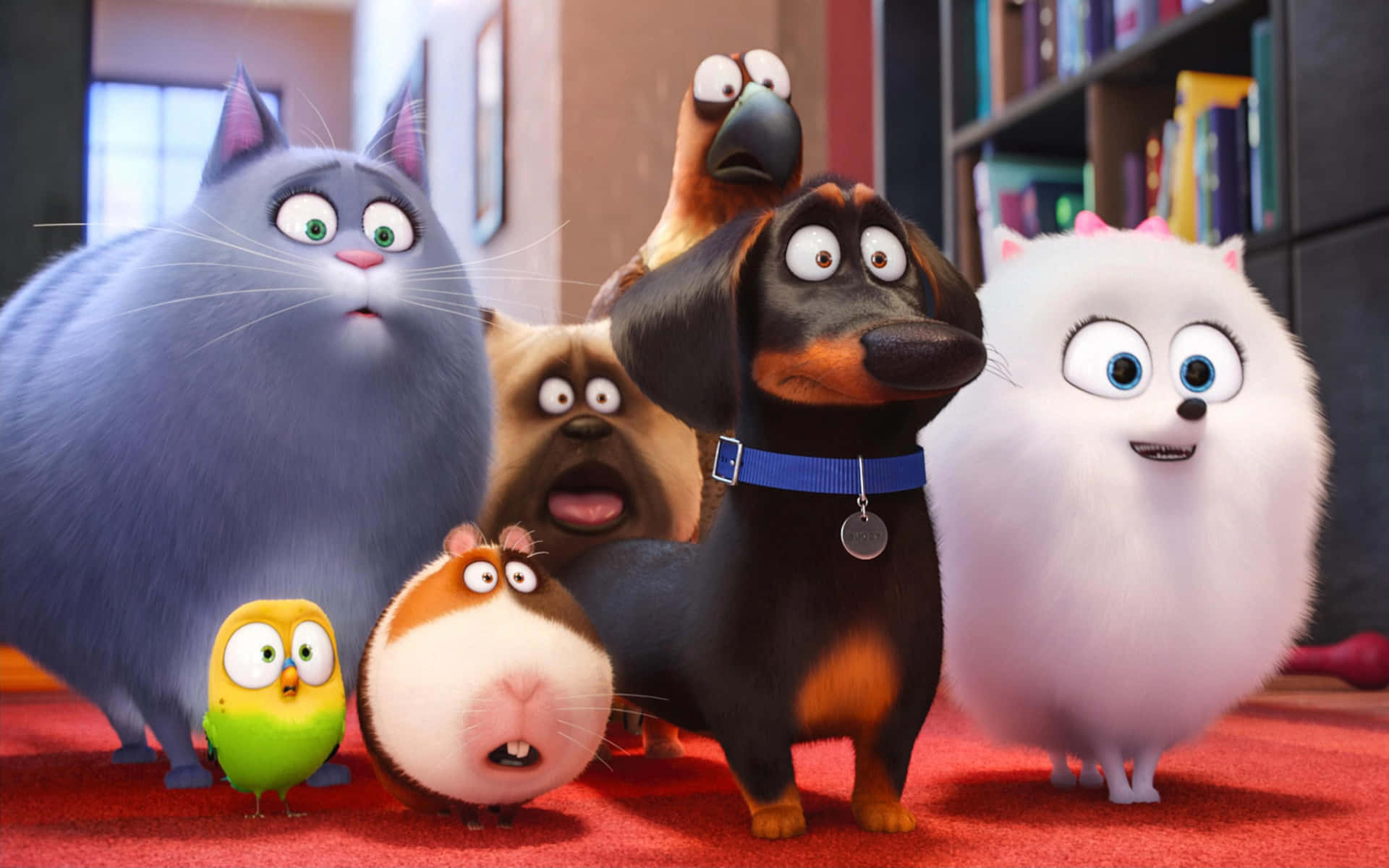 The Secret Life Of Pets 2 Characters Background
