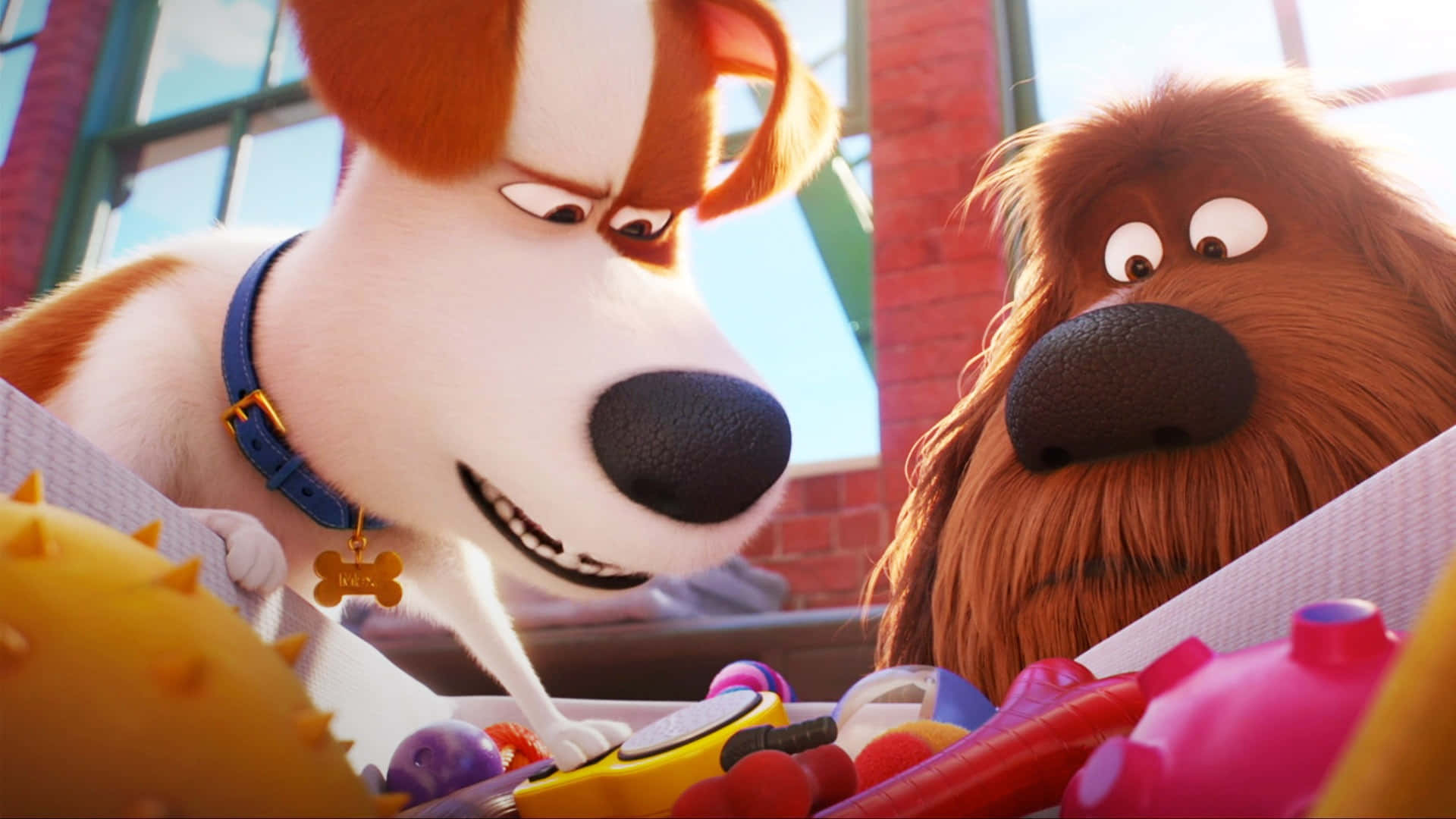 The Secret Life Of Pets 2 Dogs Background