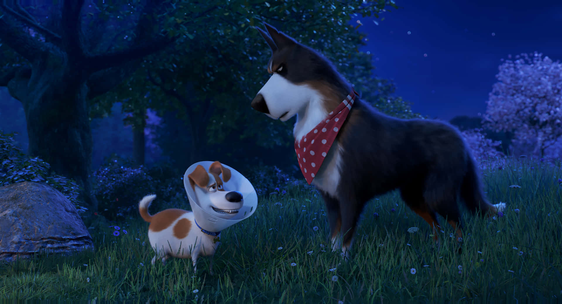 The Secret Life Of Pets 2 Rooster And Max Wallpaper