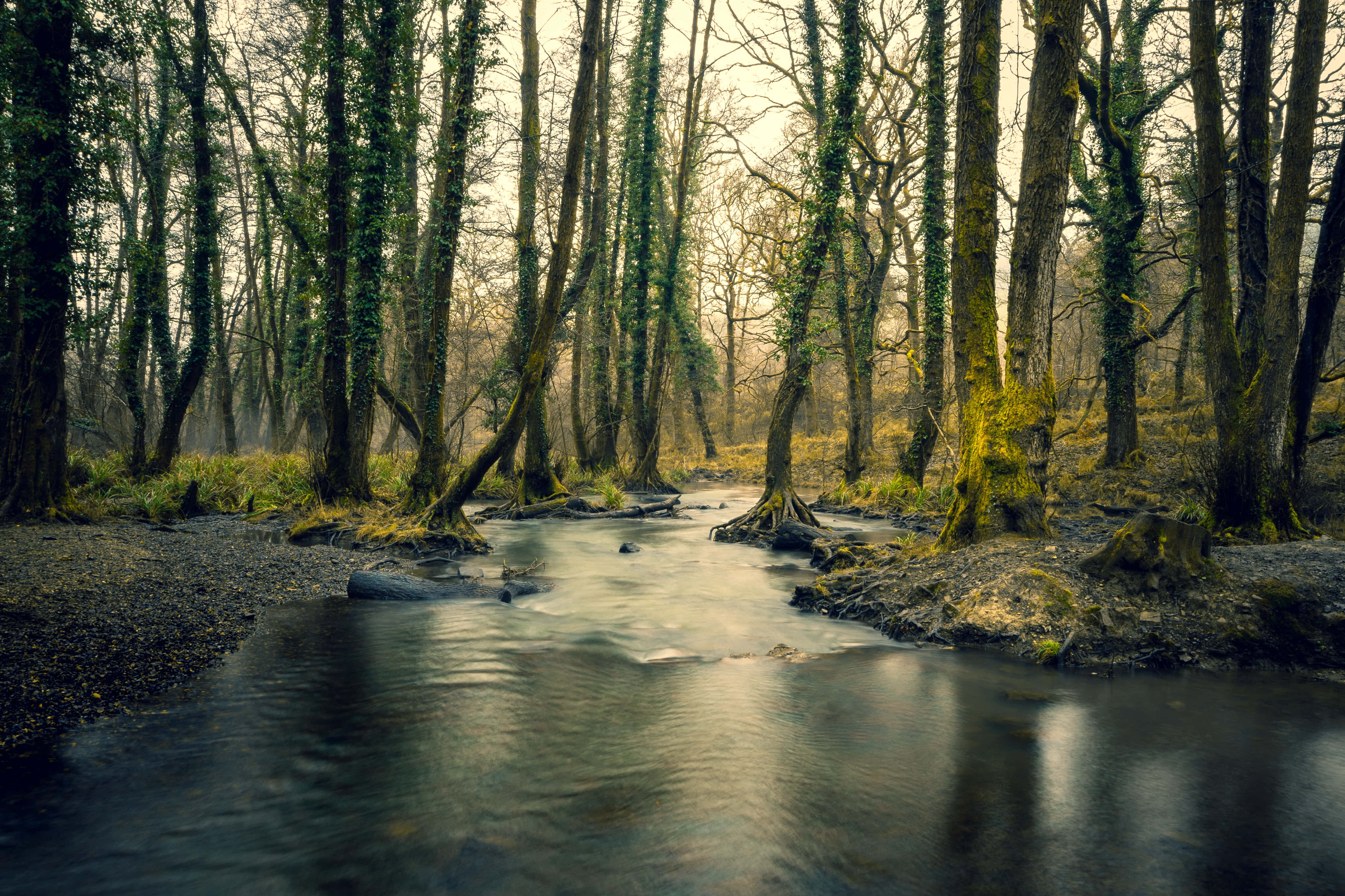 The Serenity Of A River Flowing Passes Through Majestic Landscapes - 4k Resolution Wallpaper