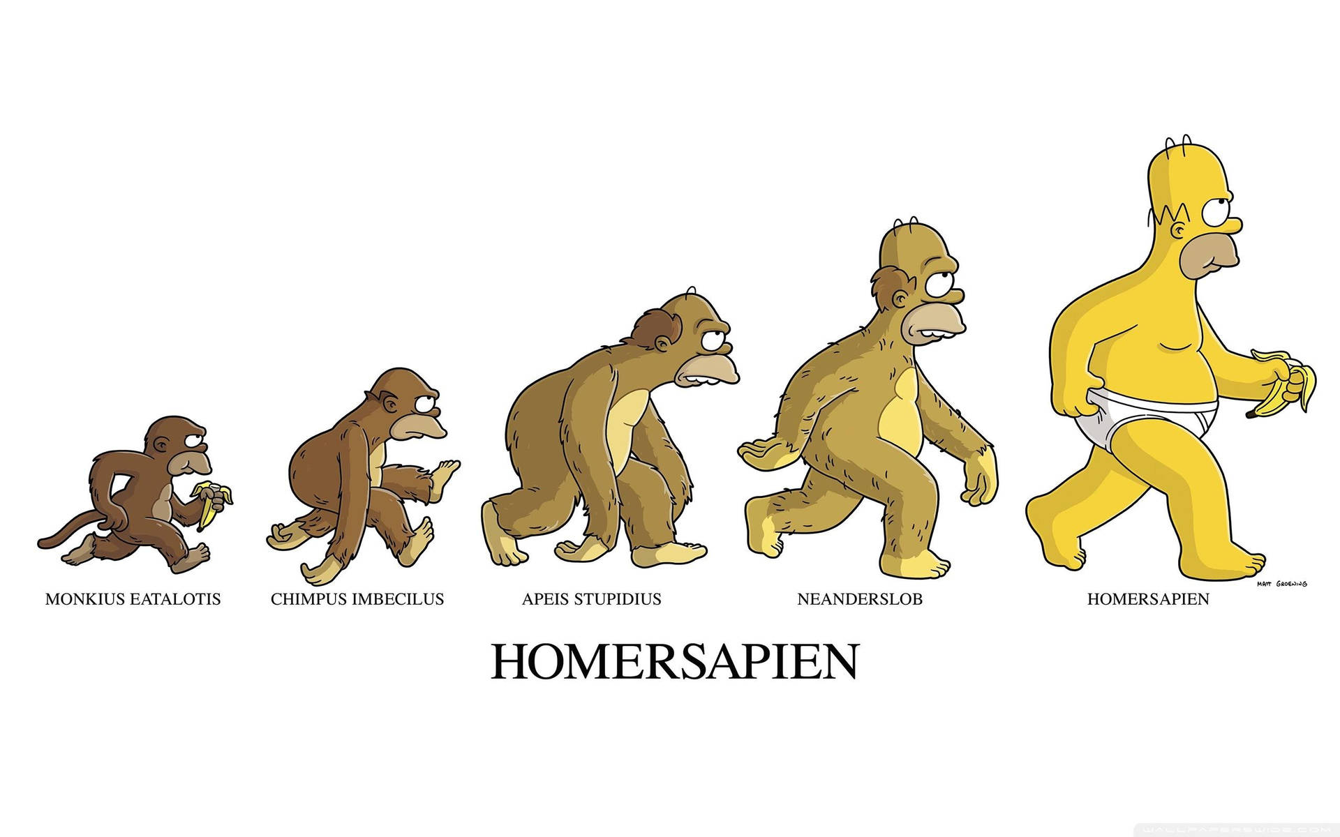 Simpsons Evolution tapet. Wallpaper