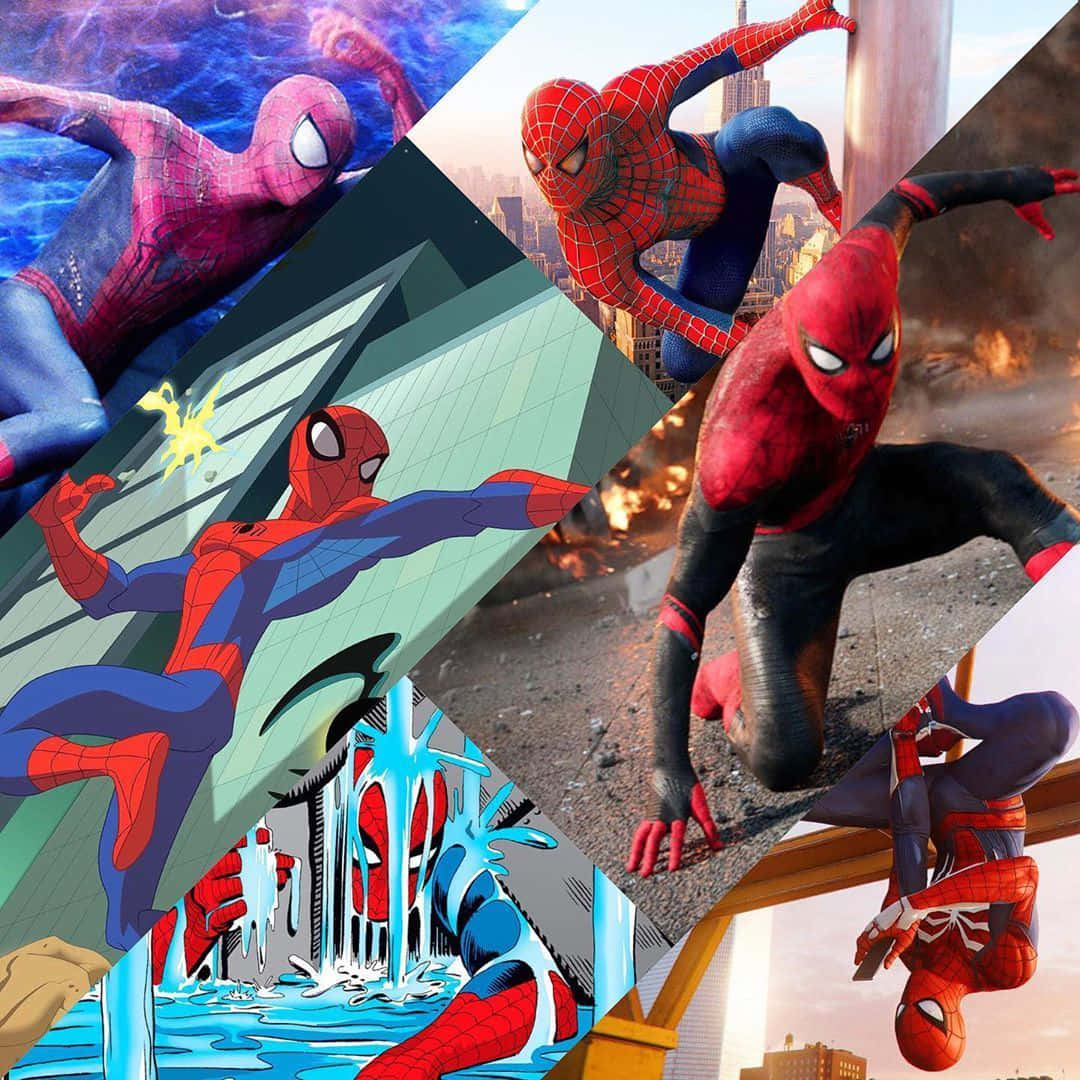 Diespektakuläre Spider-man Collage Wallpaper