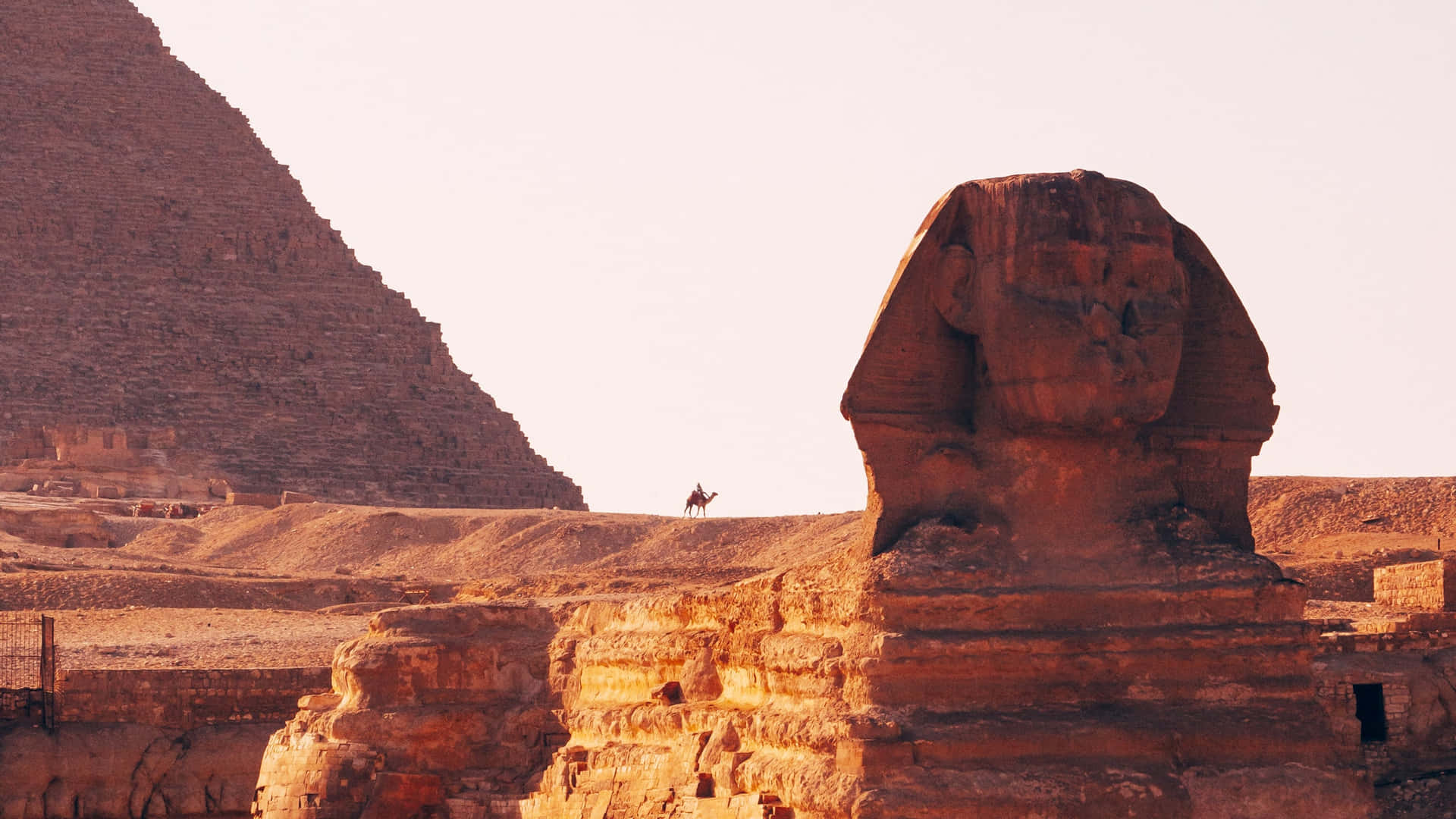 Majestic Sphinx Overlooking the Pyramids of Giza Wallpaper