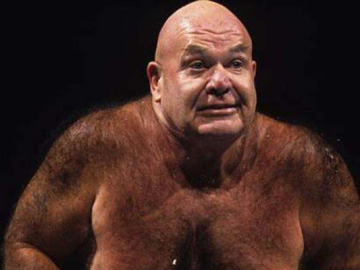 The Staring George Steele Wallpaper