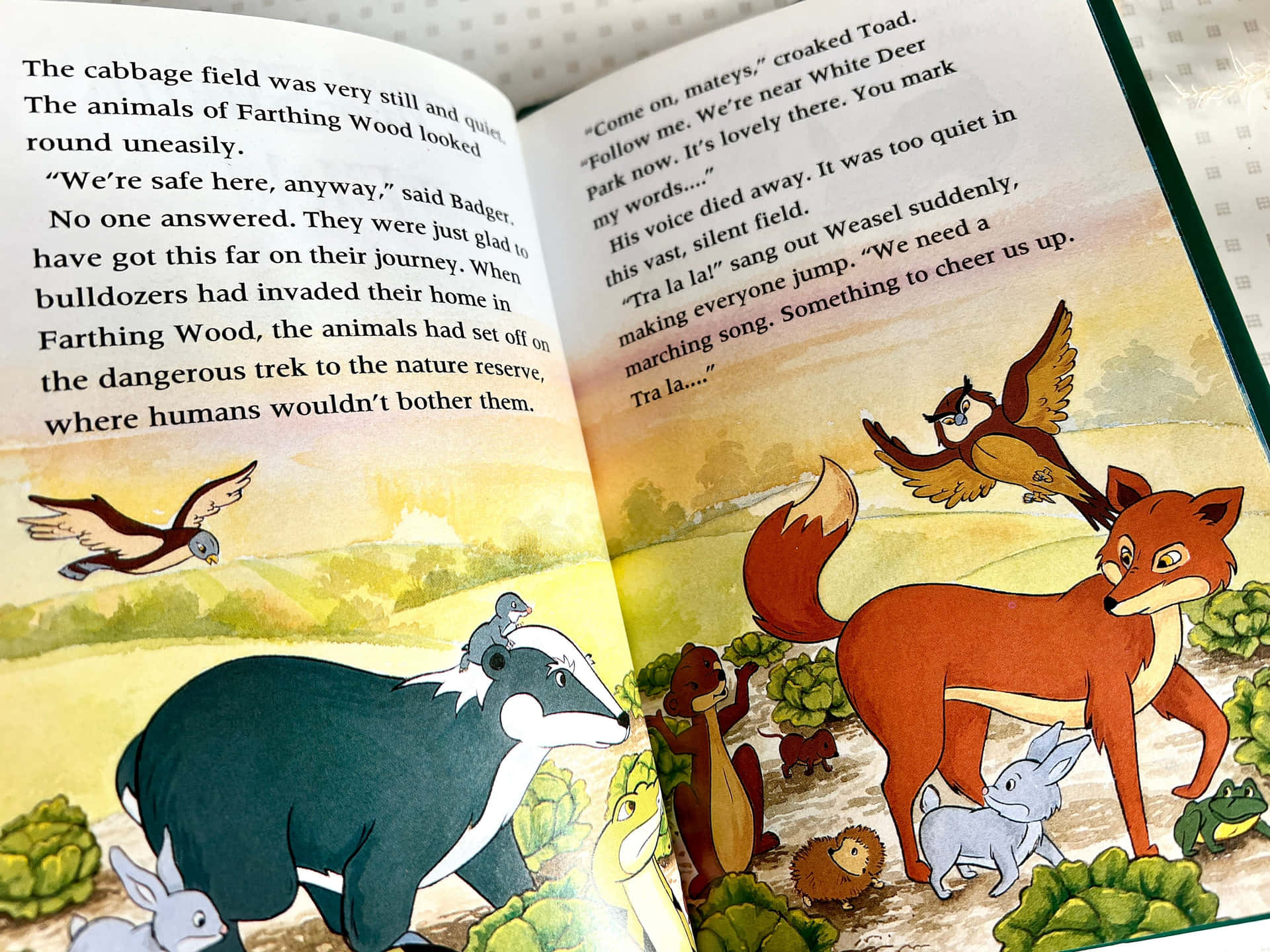 The Story Book The Animals Of Farthing Wood Wallpaper