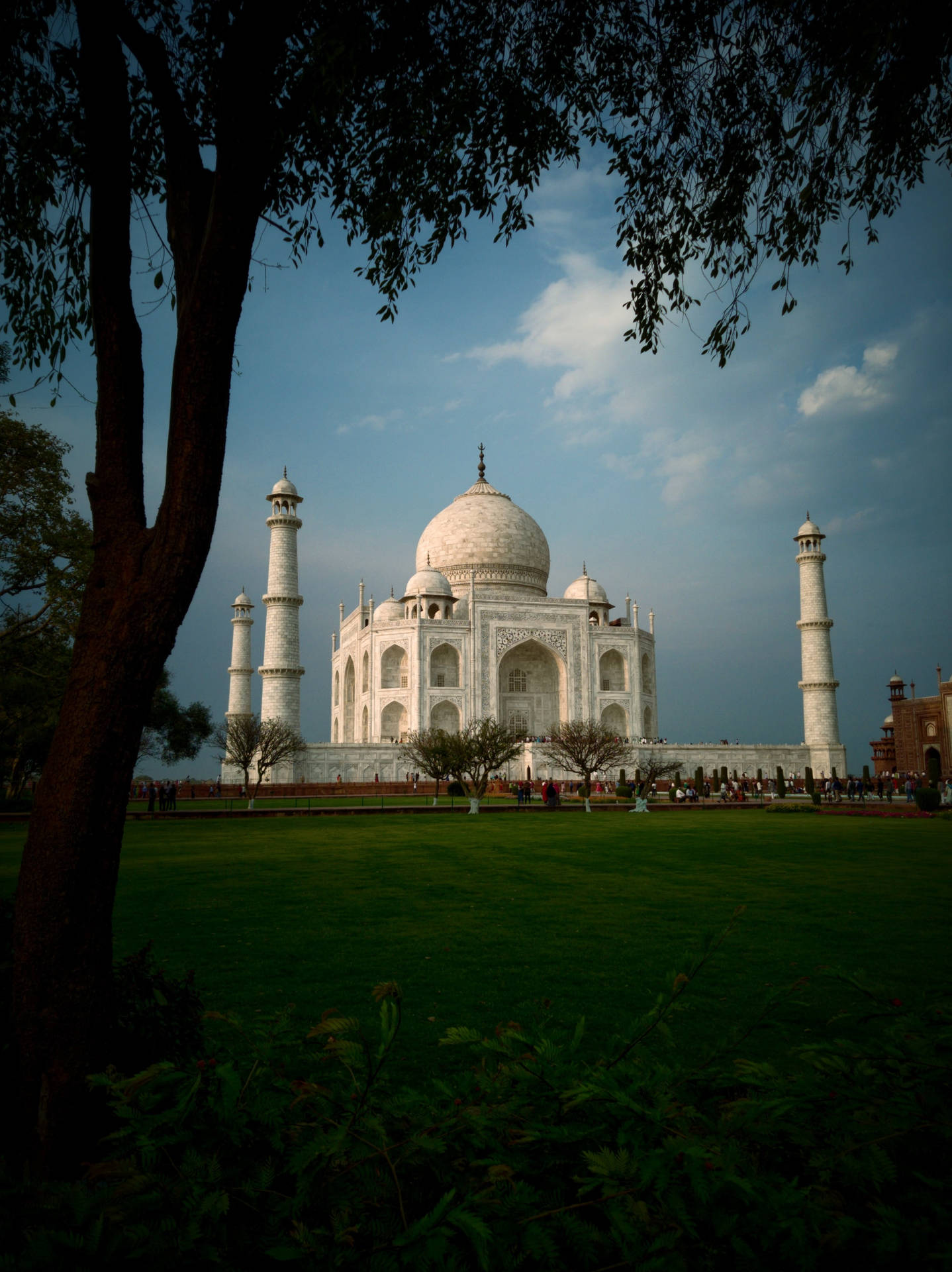 The Taj Mahal And The Meadows Wallpaper