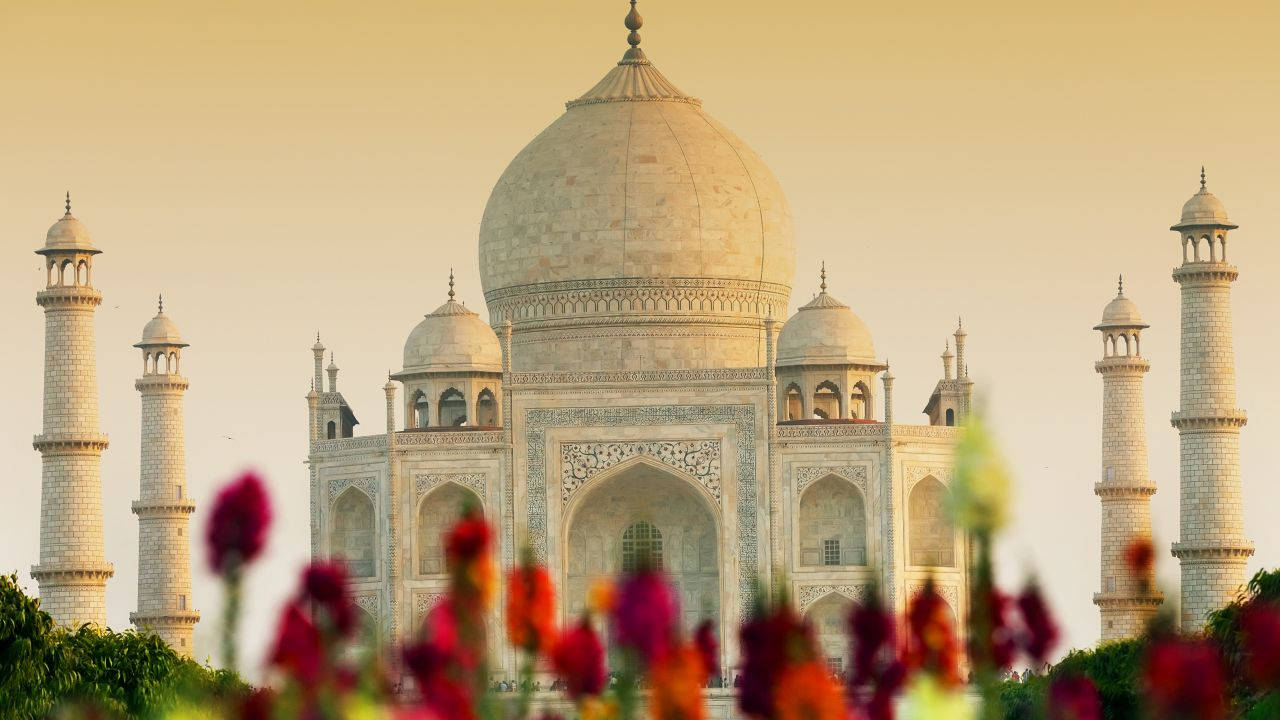 The Taj Mahal Garden. Wallpaper