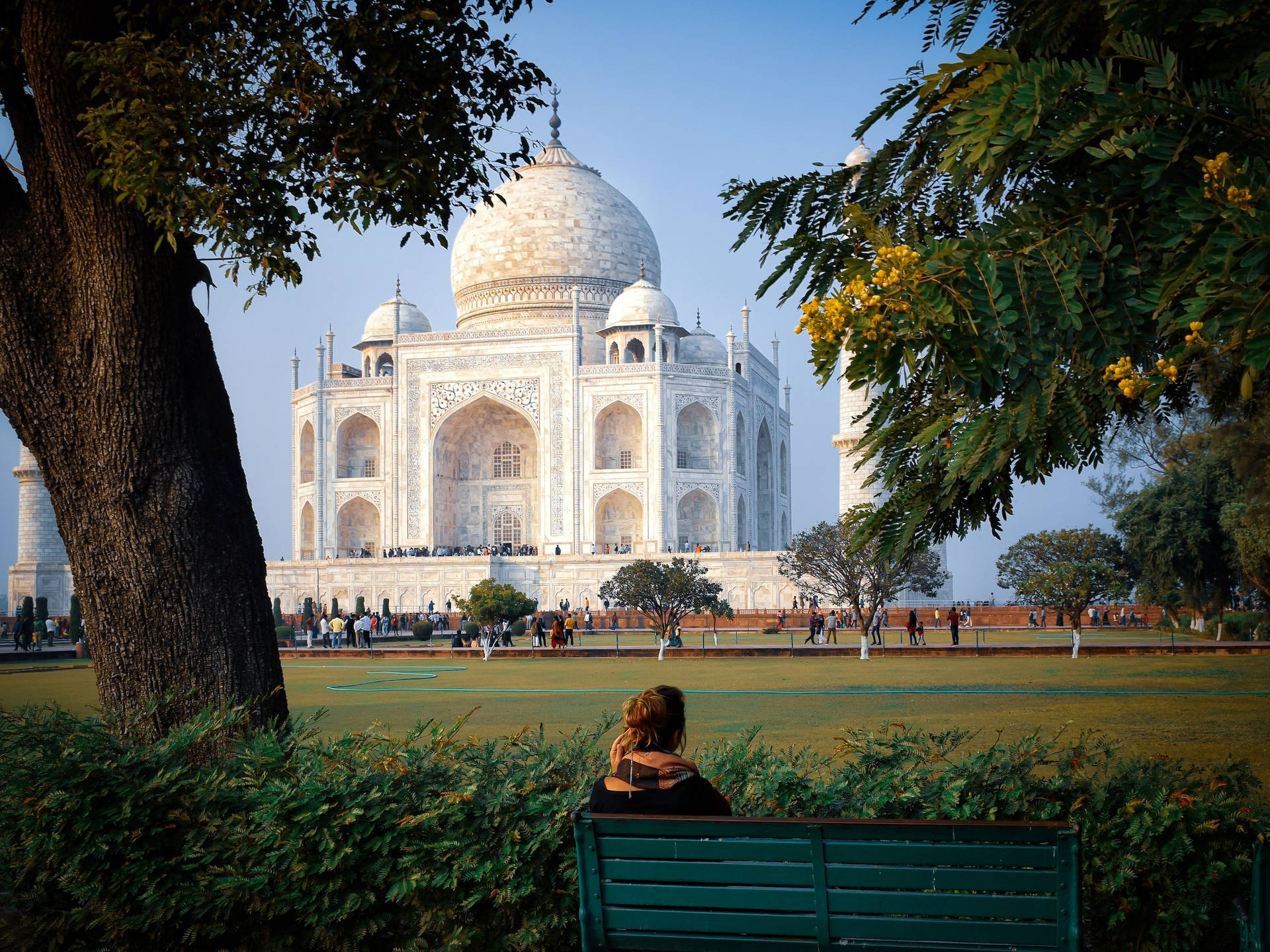 The Taj Mahal's Green Plains Wallpaper