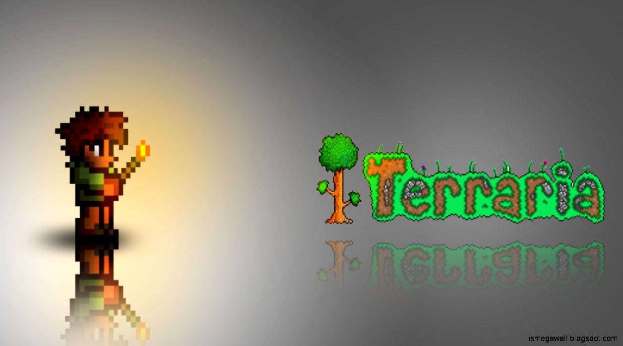 Bright Torch Lighting up the Terraria Guy's Dungeon Wallpaper
