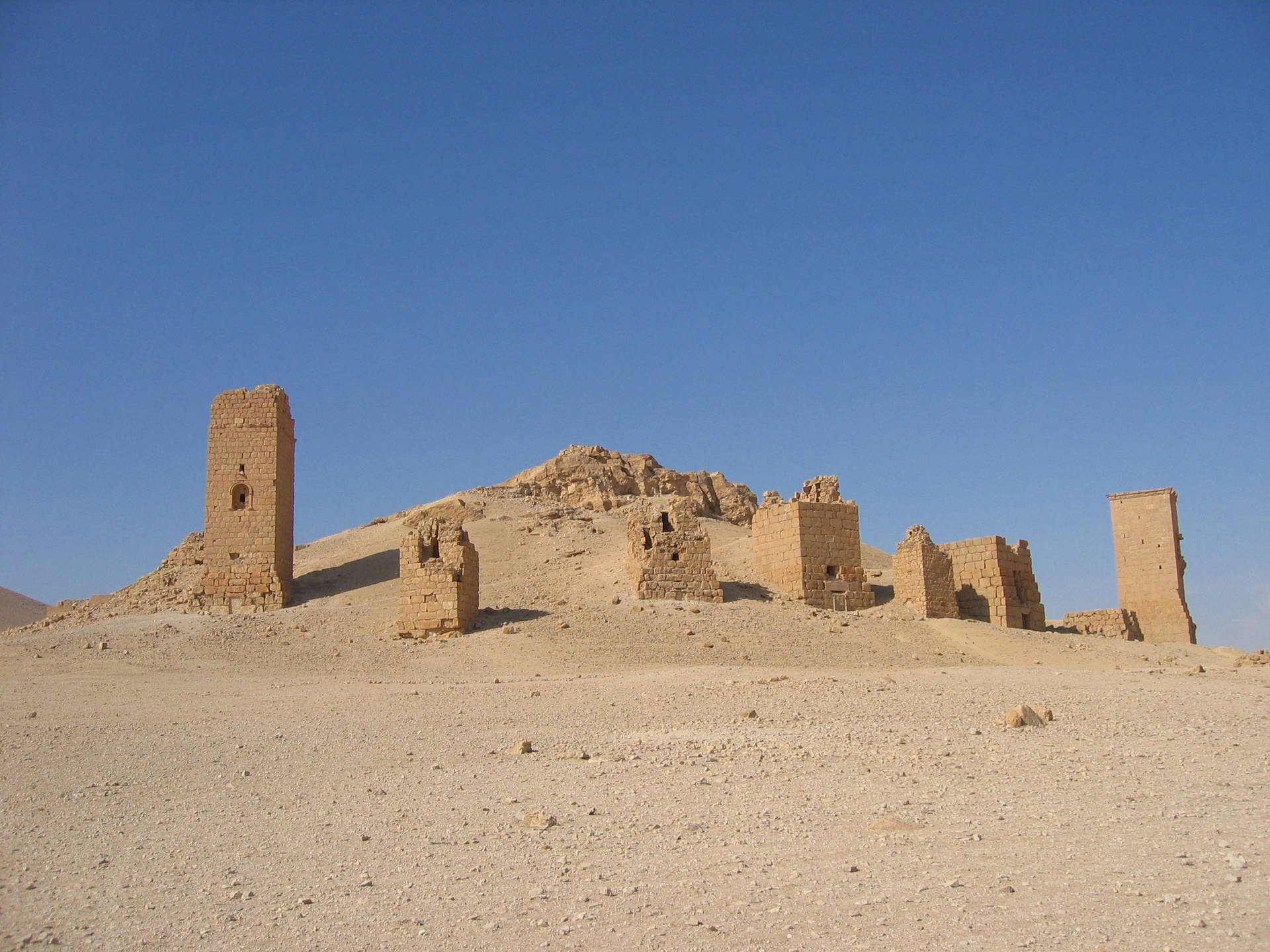 Elvalle De Las Tumbas De Palmyra, Siria. Fondo de pantalla