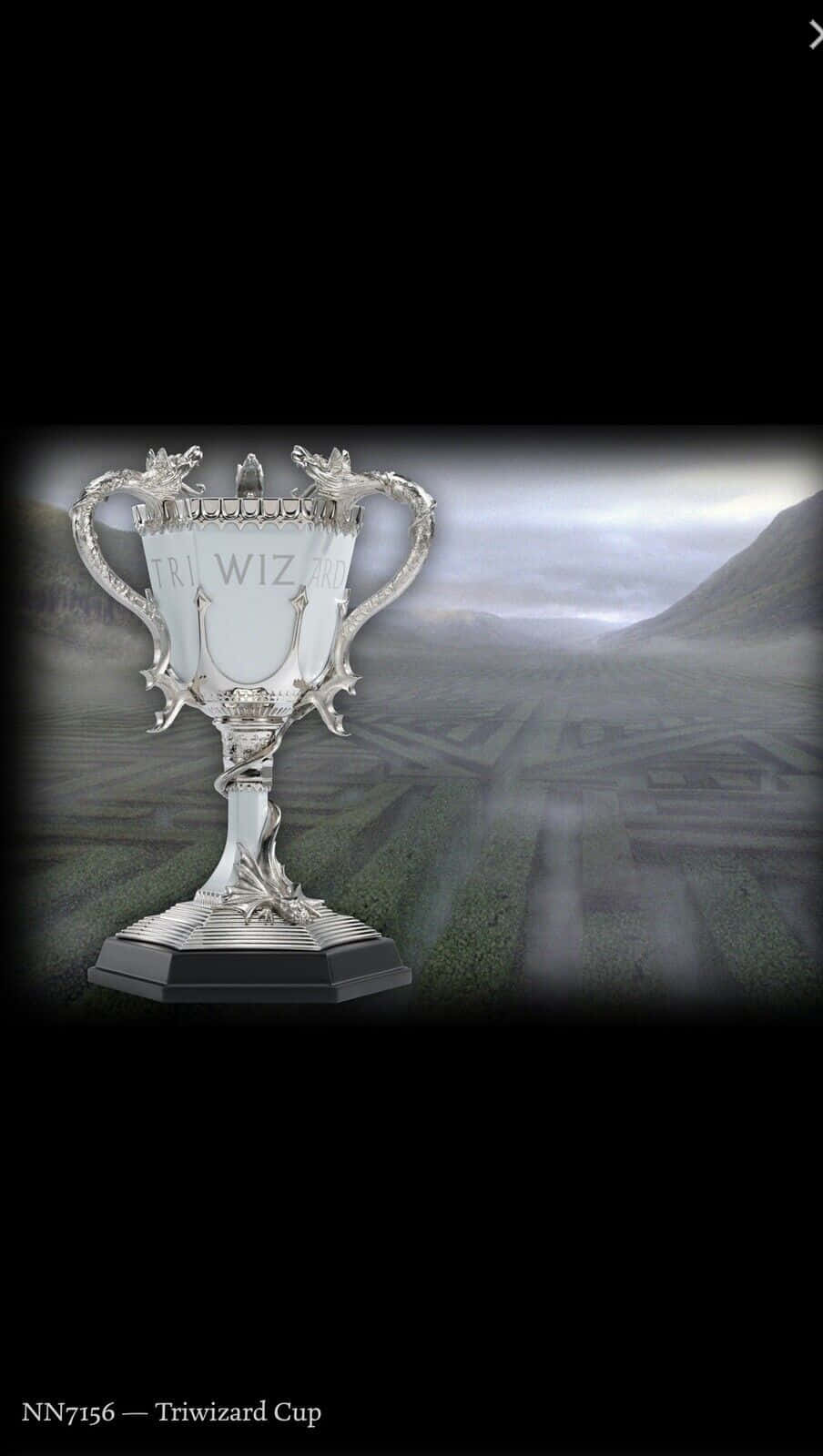 The Triwizard Cup - The Prize of Victory Wallpaper