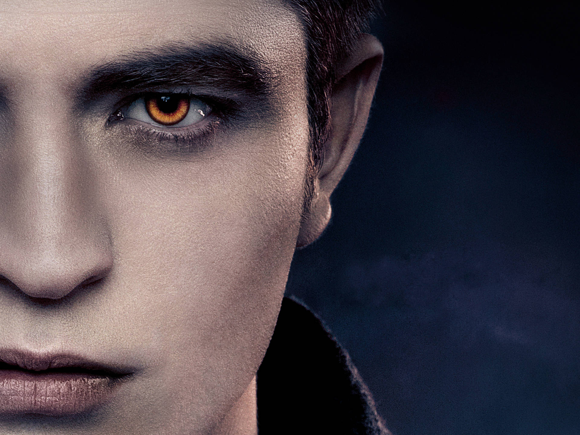 Download The Twilight Saga Edward Cullen Wallpaper 