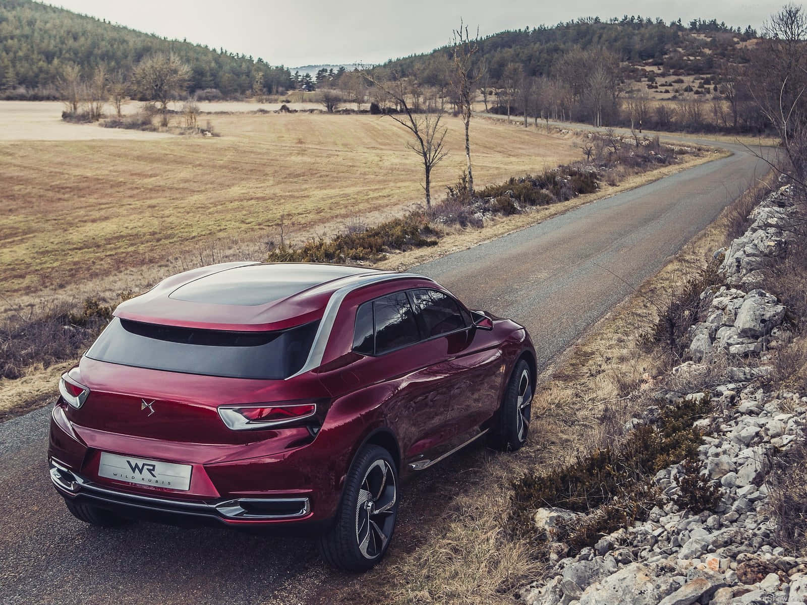 The Ultimate Blend Of Luxury And Style - Citroen Ds Wild Rubis Wallpaper