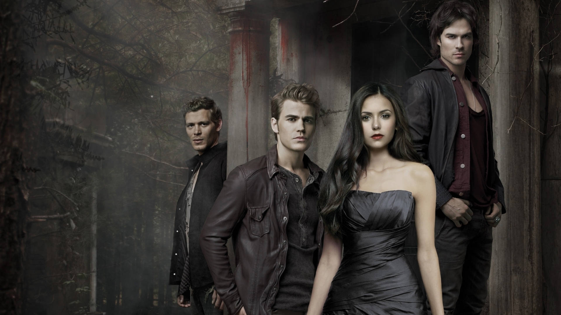 Vampire Diaries karakterer i en skovscene Wallpaper