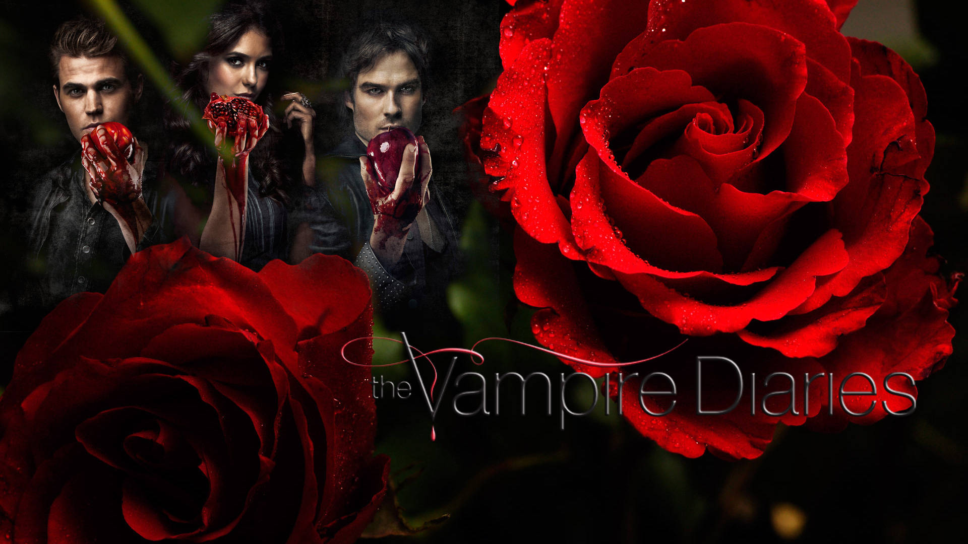 The Vampire Diaries Poster With Red Roses Wallpaper