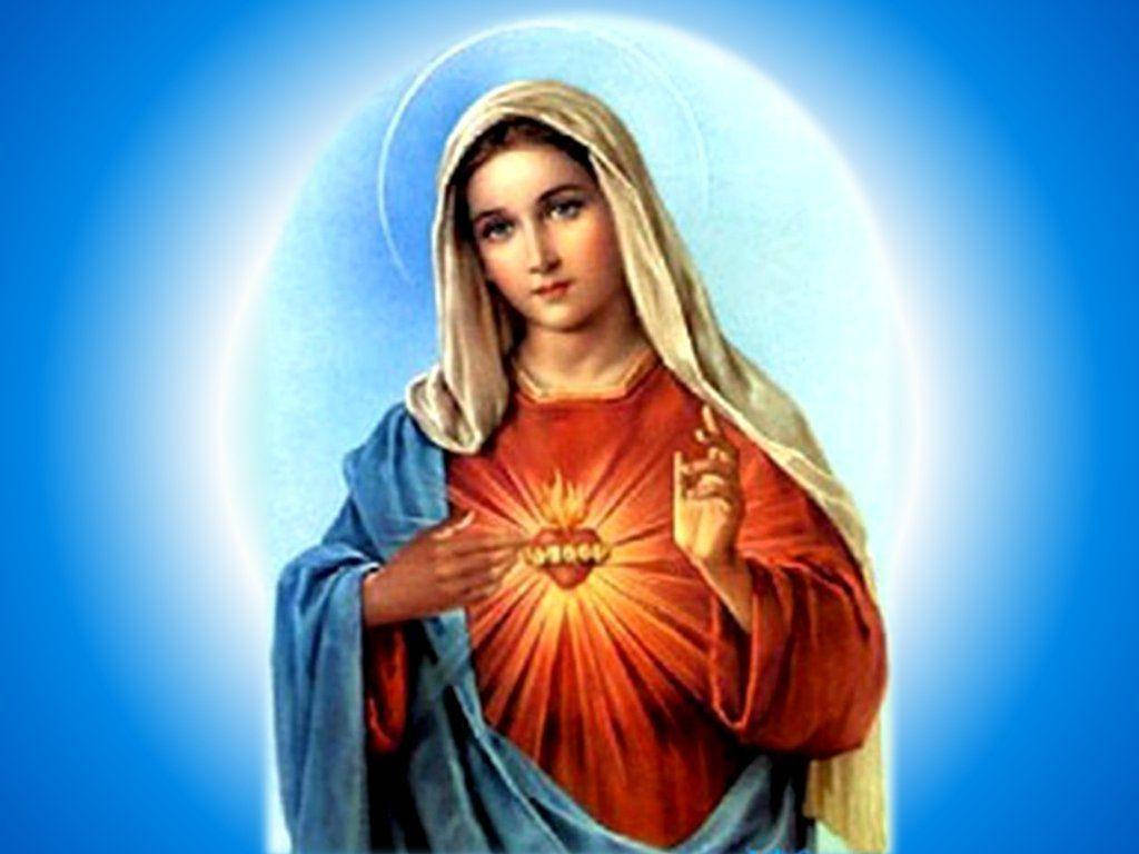 The Virgin Mary Sacred Heart Wallpaper
