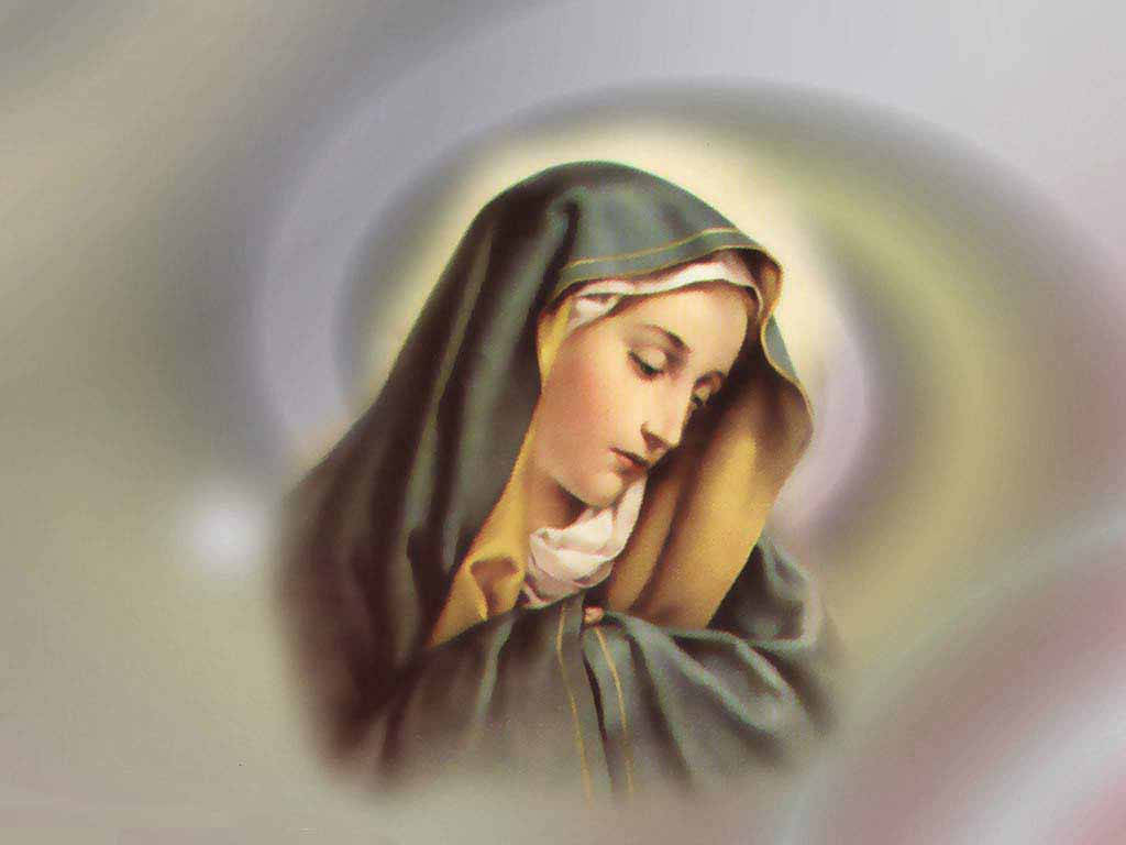 The Virgin Mary Soft Features Wallpaper