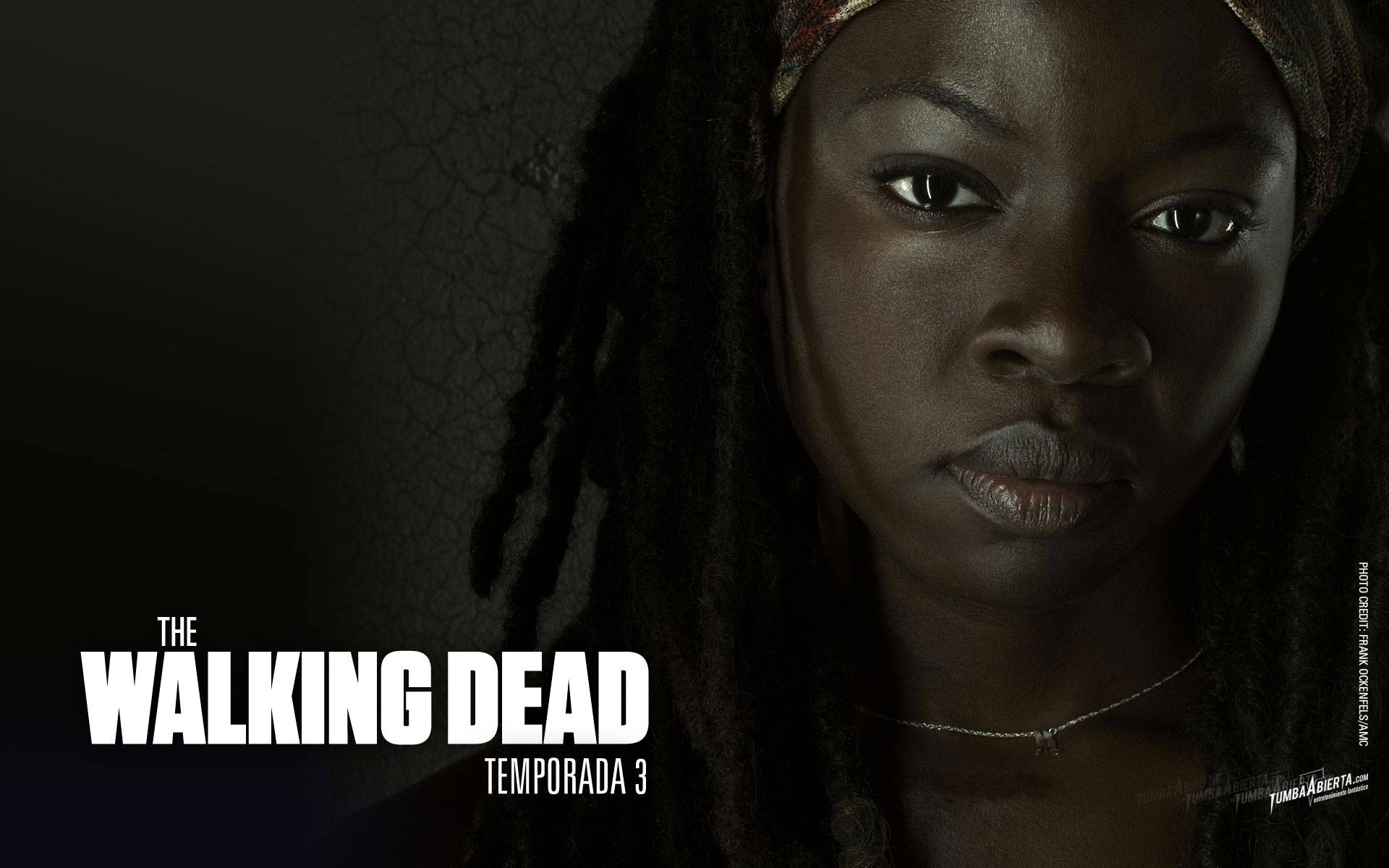 The Walking Dead Michonne Poster Wallpaper