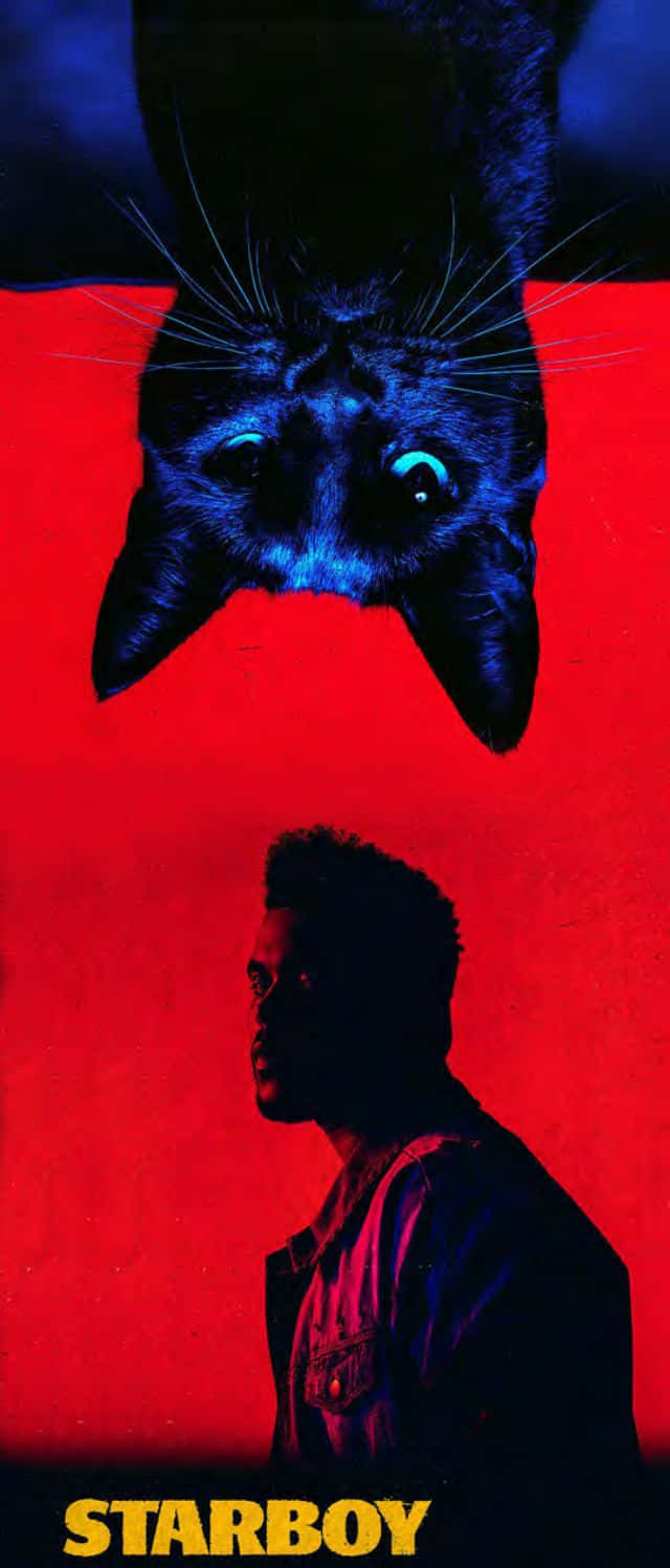 Bakgrundsbildför Iphone Med The Weeknd Starboy Affisch. Wallpaper