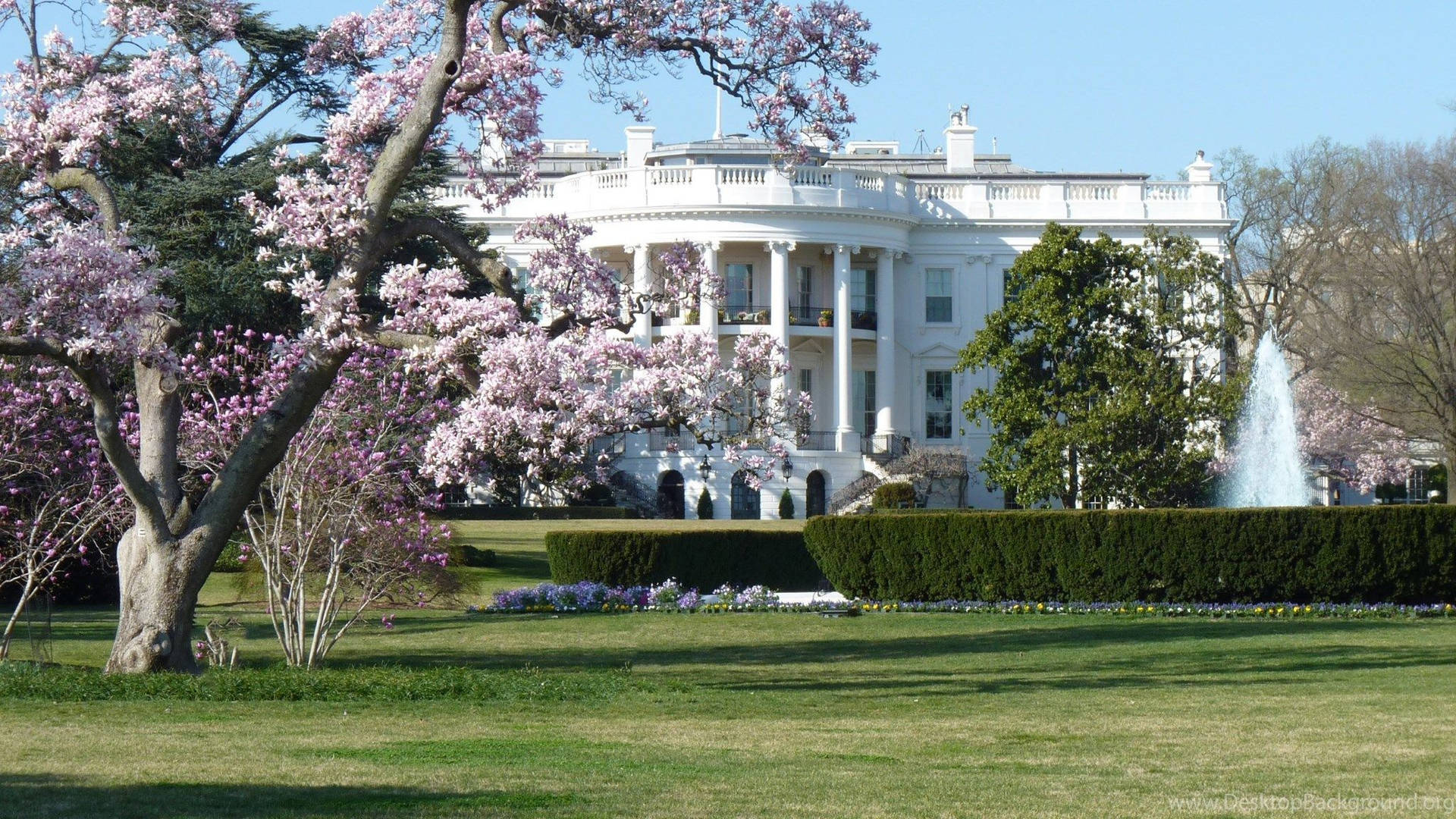 The White House At Spring Season Wallpaper