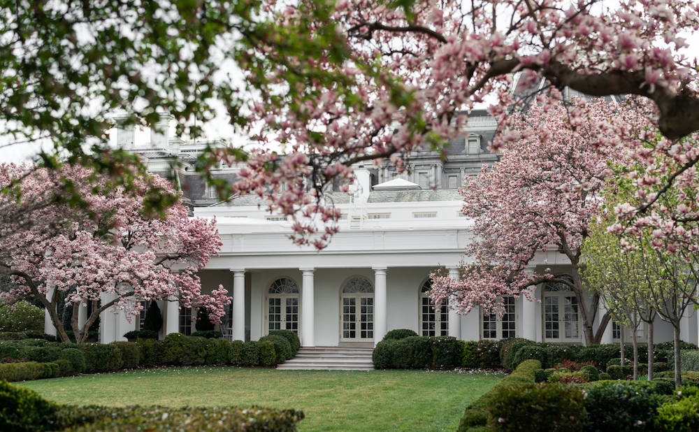 The White House With Colorful Trees Wallpaper