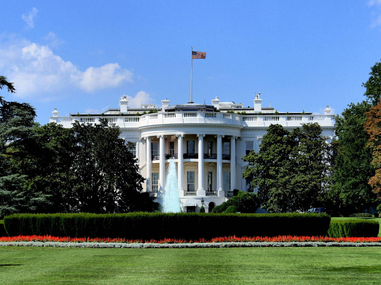 The White House With Trees Wallpaper