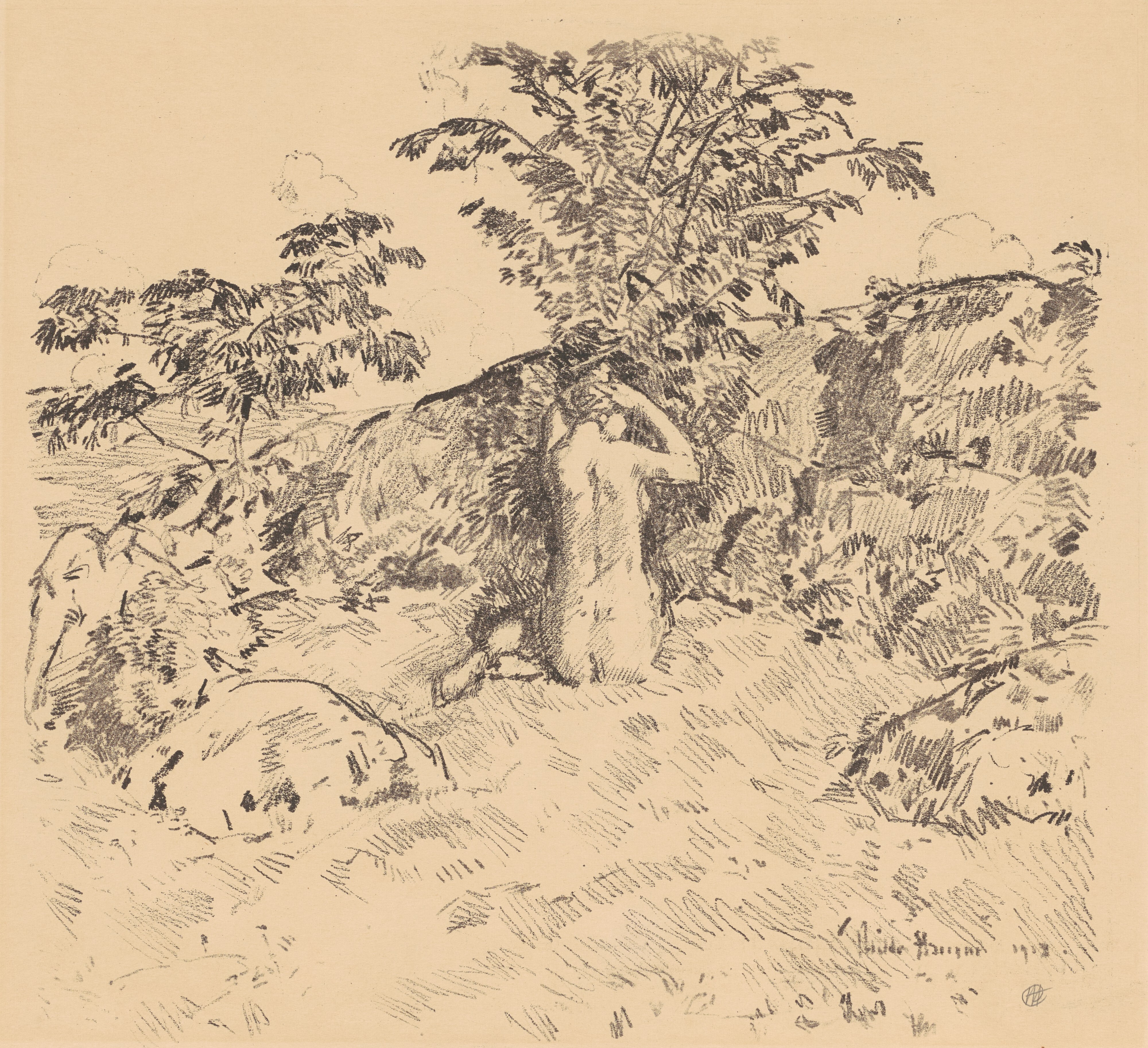 The Wild Cherry Tree Wallpaper