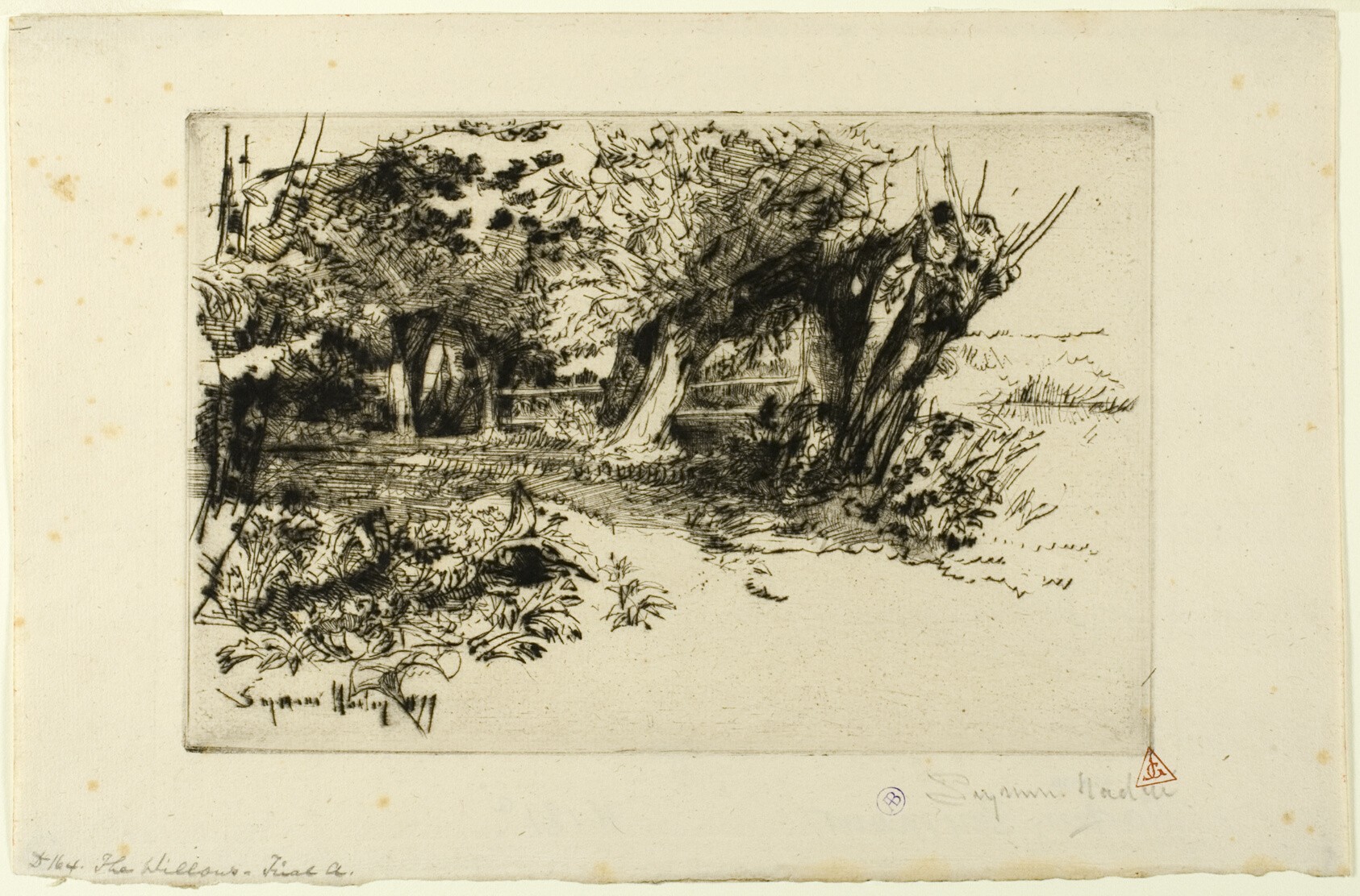 The Willows Wallpaper