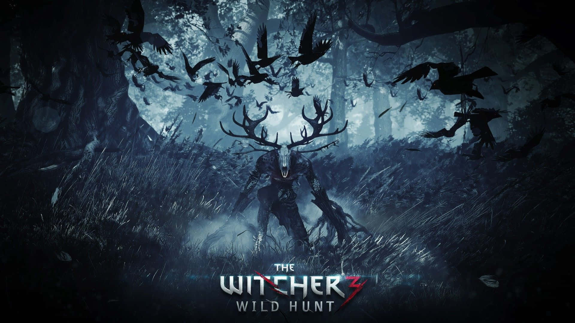 Witcher 3 Wild Paint HD Tapet Wallpaper