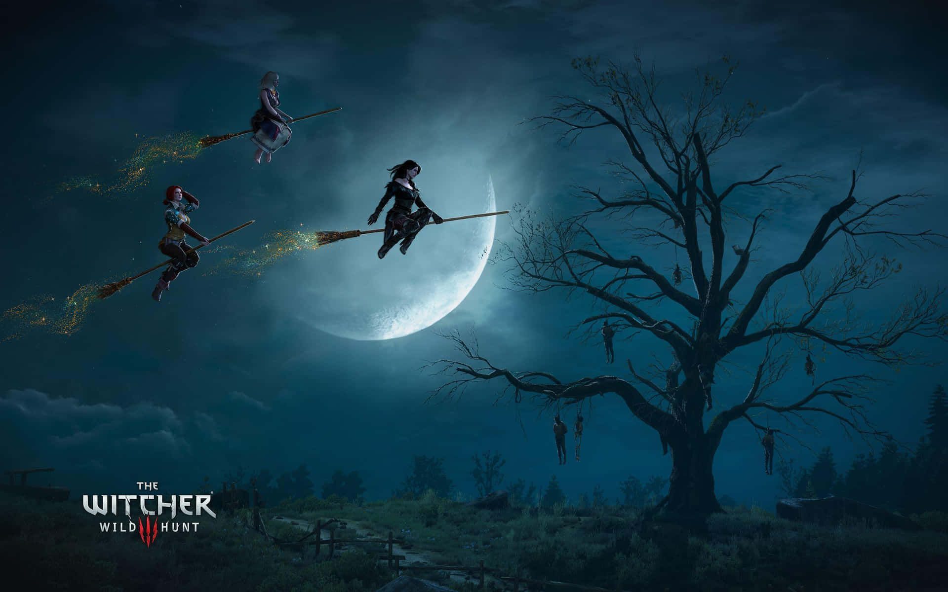 The Witcher 3 Wild Hunt Witch Silhouette Digital Art Wallpaper