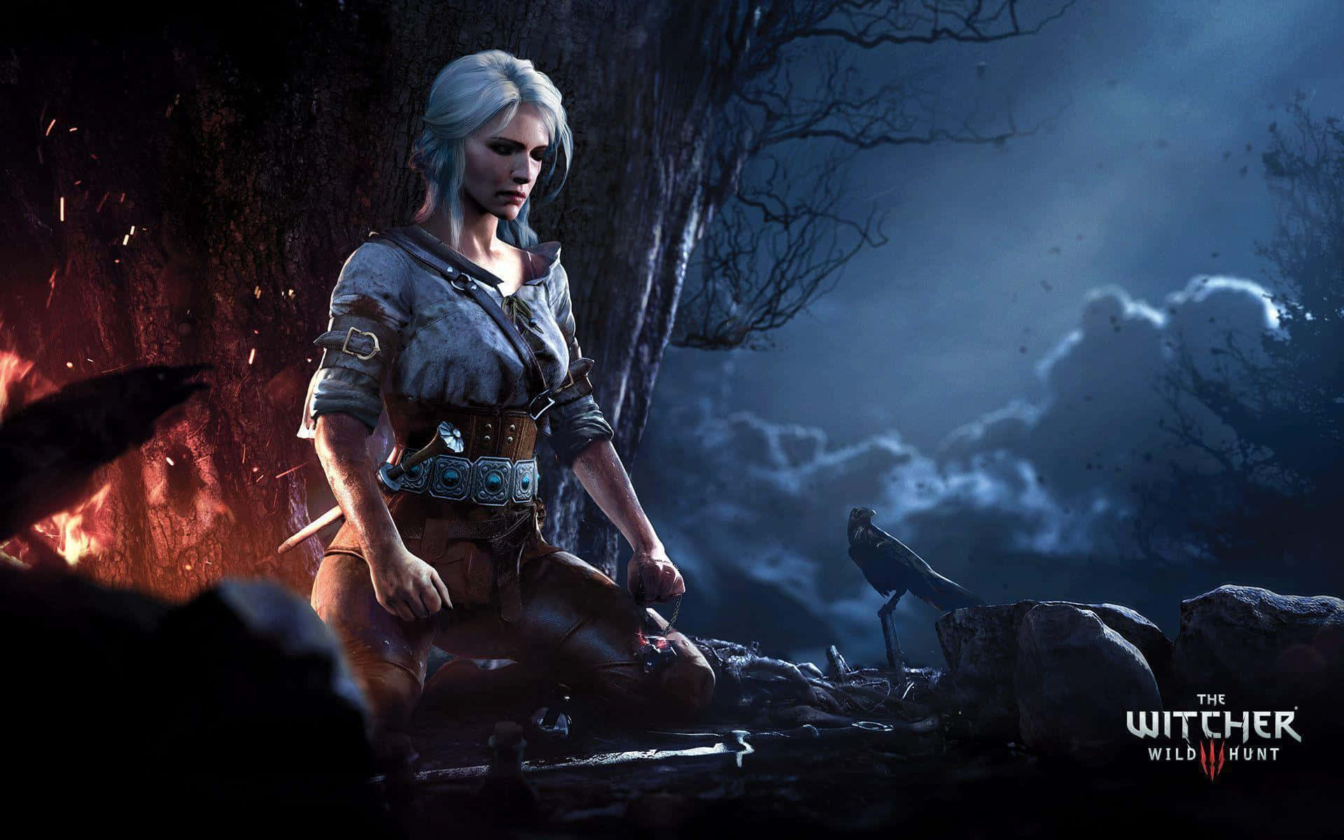 Elpersonaje De Ciri De The Witcher 3 Wild Hunt Fondo de pantalla