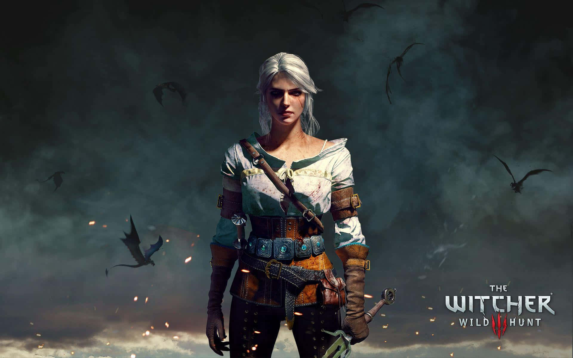 Explore a Magical World in The Witcher 3 Wild Hunt Wallpaper