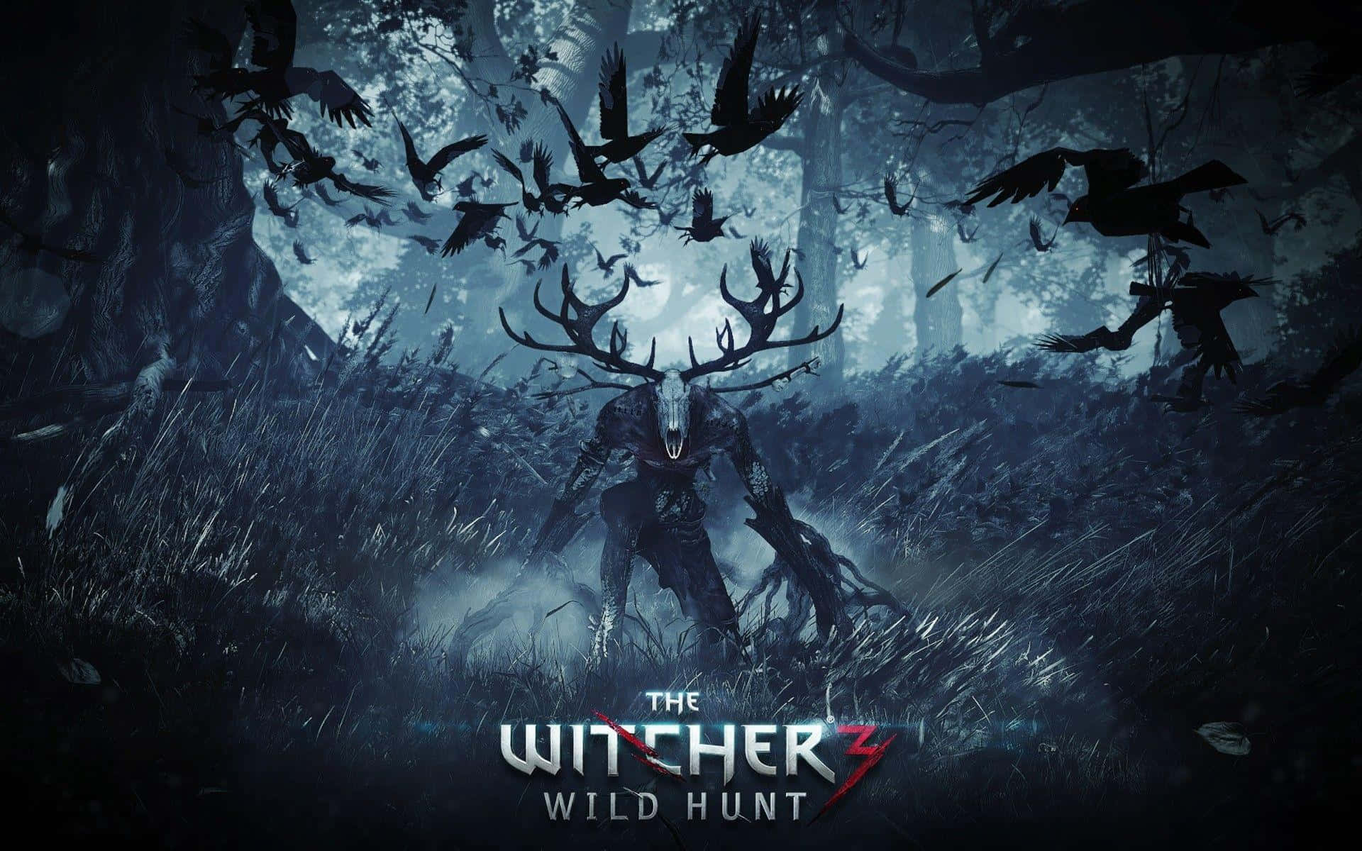 Exploreo Mundo De The Witcher 3: Wild Hunt Através Dos Papéis De Parede Para Computador Ou Celular! Papel de Parede