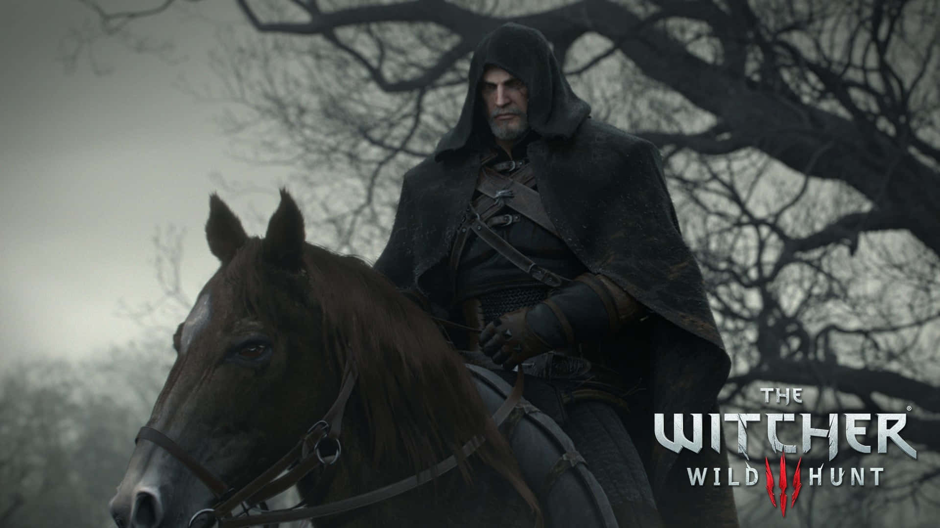 Embark on adventures in The Witcher 3 Wild Hunt Wallpaper