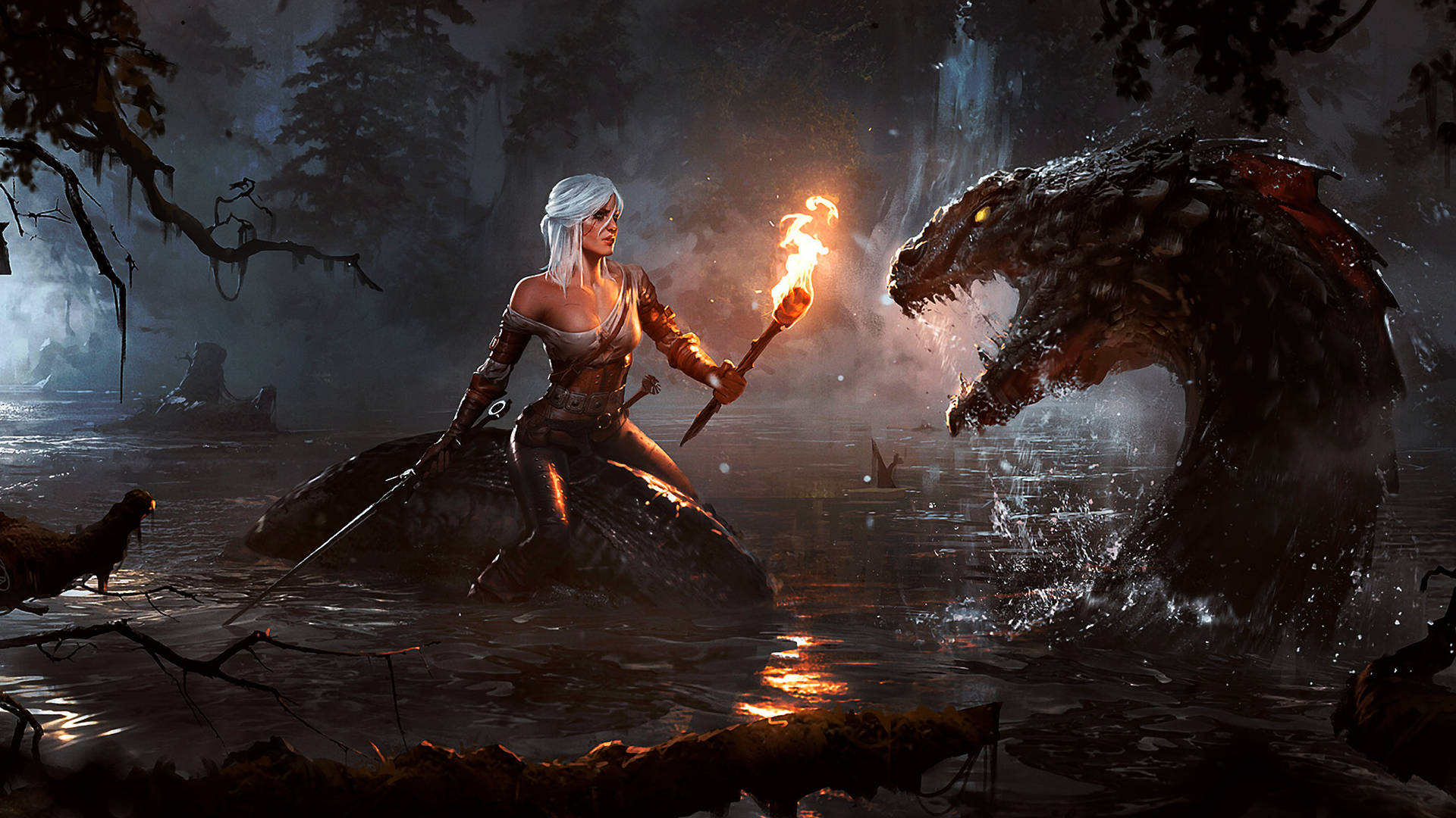 The Witcher Ciri And Sea Monster