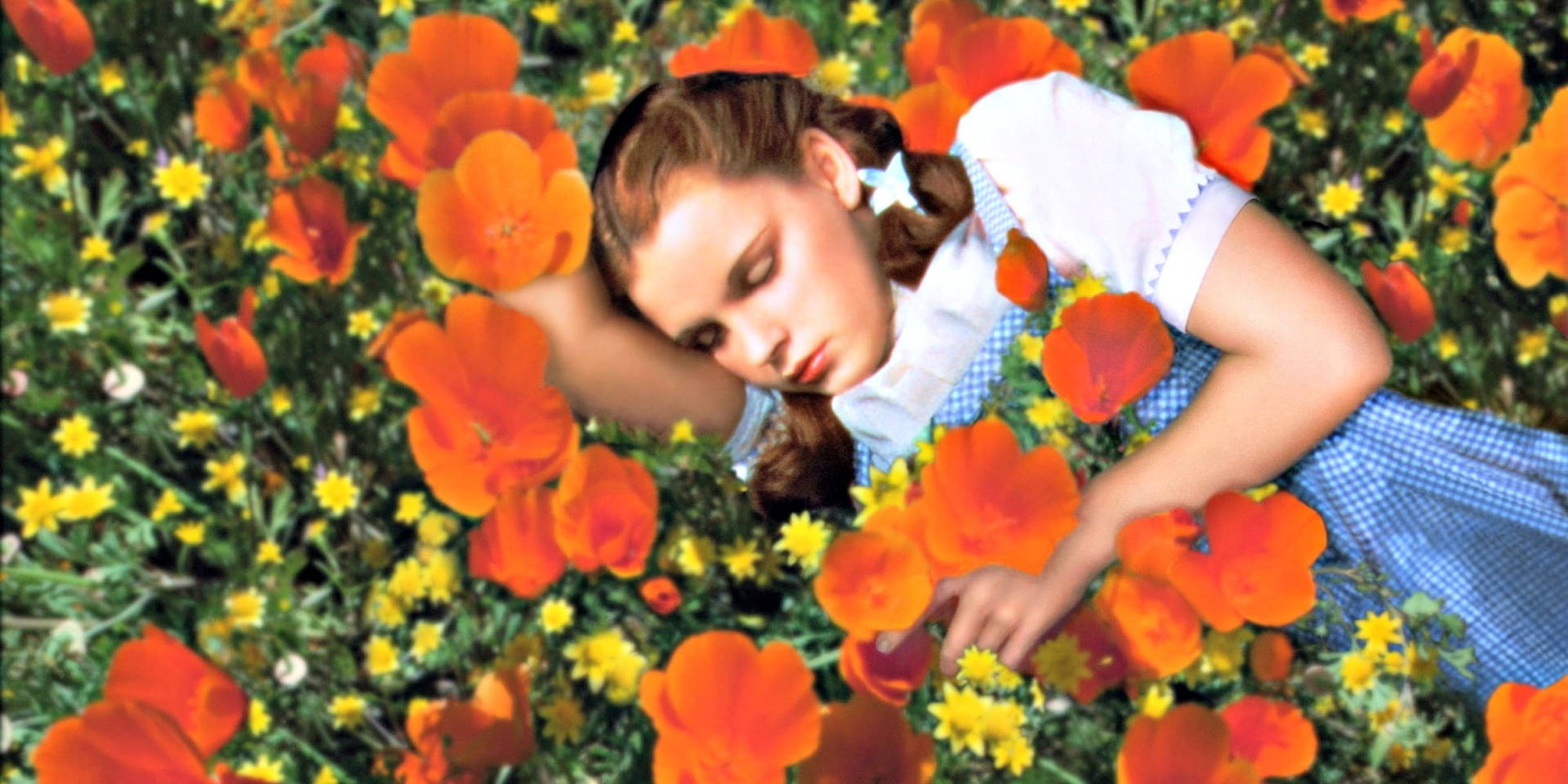 The Wizard Of Oz Dorothy Flower Bed Wallpaper