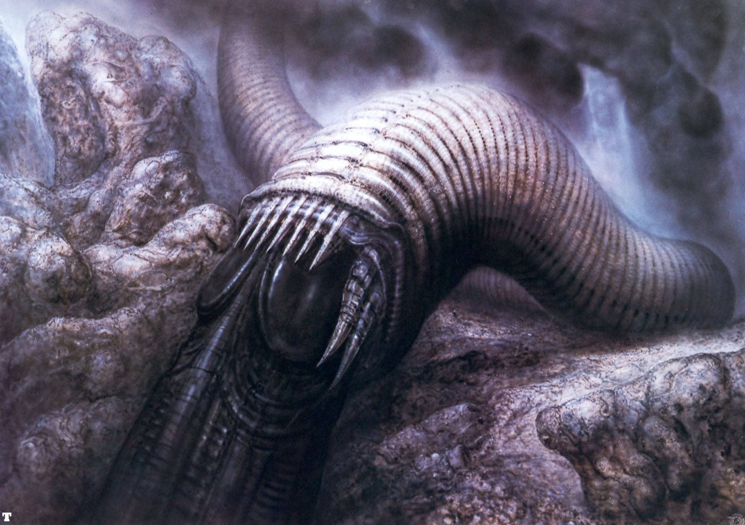 The Worm In The Dune Novel Wallpaper