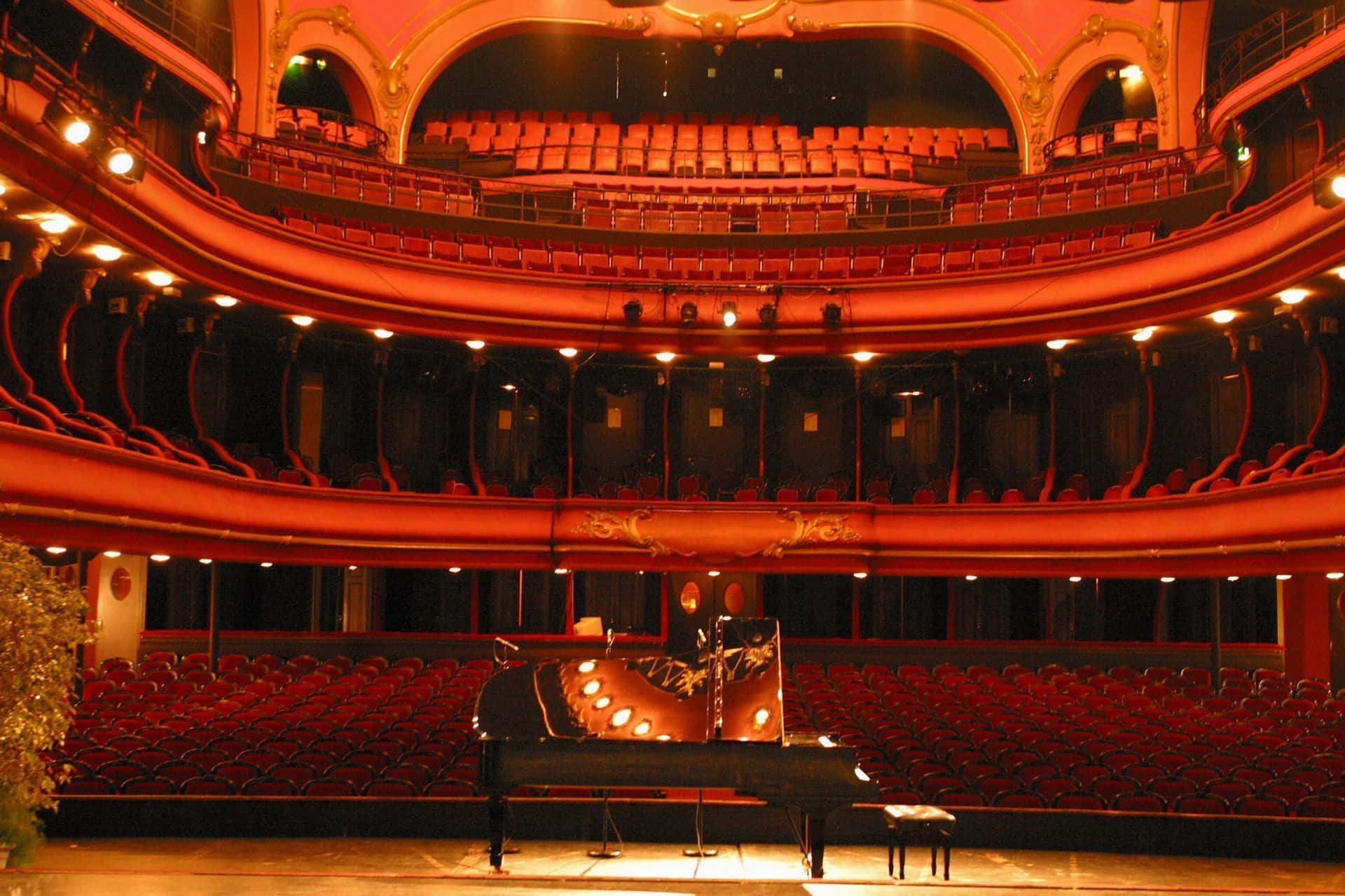 Enstor Auditorium Med En Piano