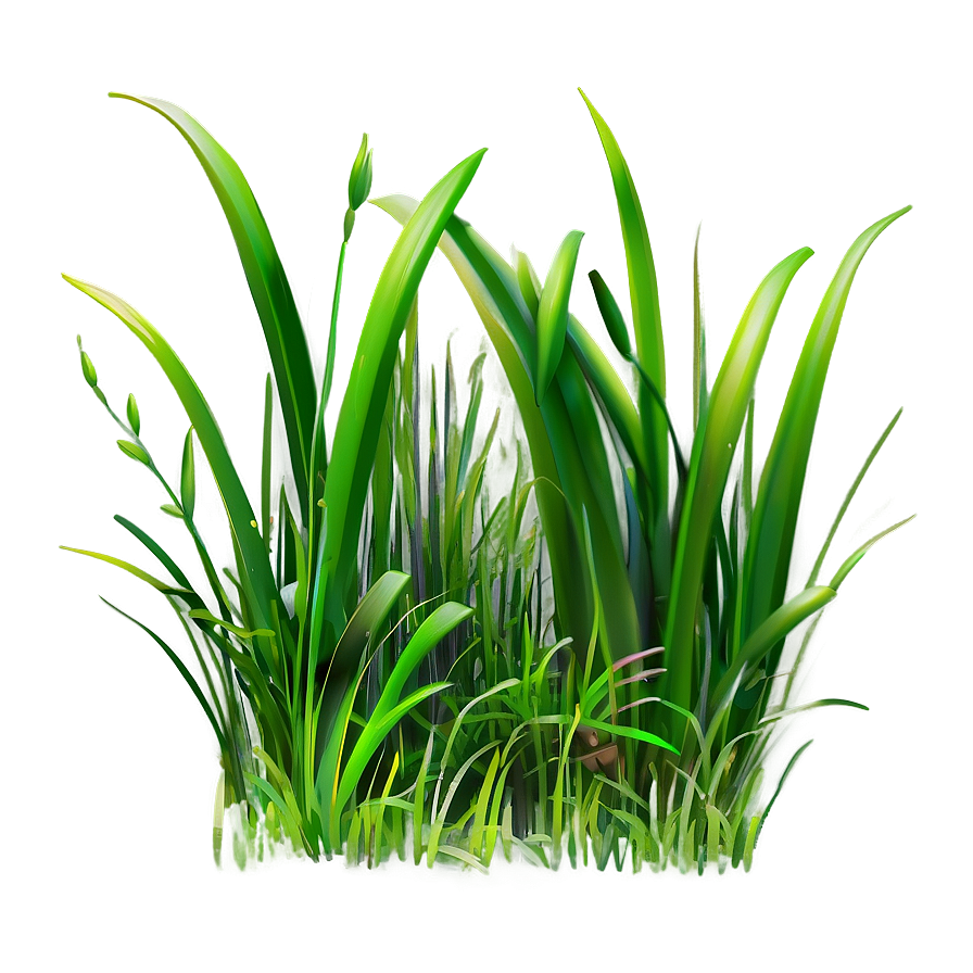 Thick Cartoon Grass Png 06122024 PNG